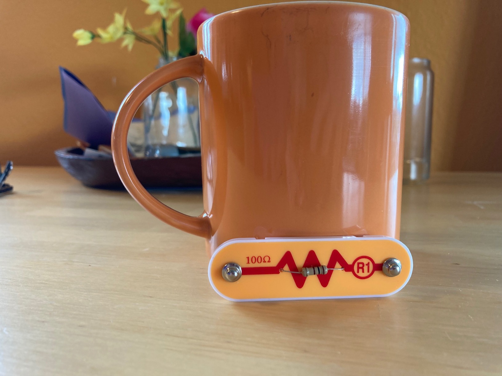 Snap Circuits Jr. SC-100 Electronics Exploration Kit, Over 100 Projects, Full Color Project Manual, 28 Parts, STEM Educational Toy for Kids 8+ customer photo 2