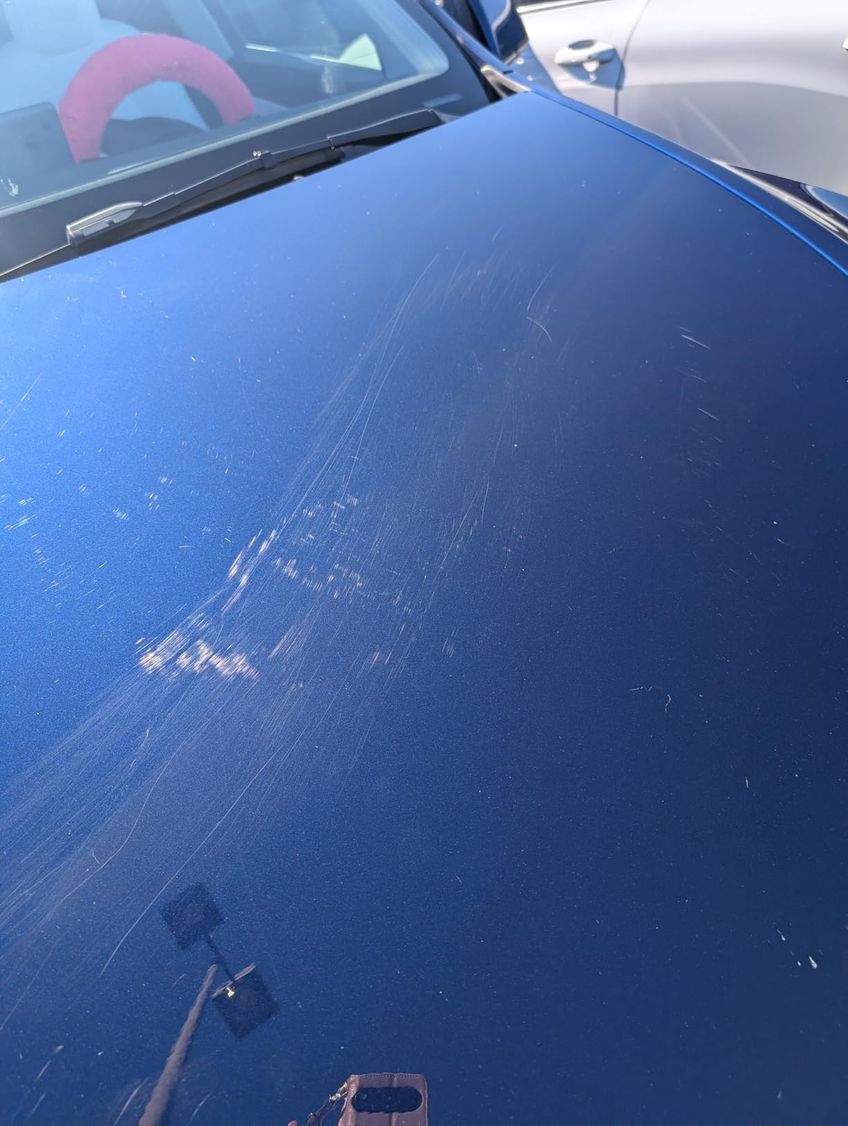 Meguiar's Gold Class Carnauba Plus Premium Liquid Wax Kit, Car Detailing Kit with a Pure Carnauba Wax Blend and a Foam Applicator Pad for Keeping Glossy Paint Protected Like a Pro, 16 Oz Bottle customer photo 1