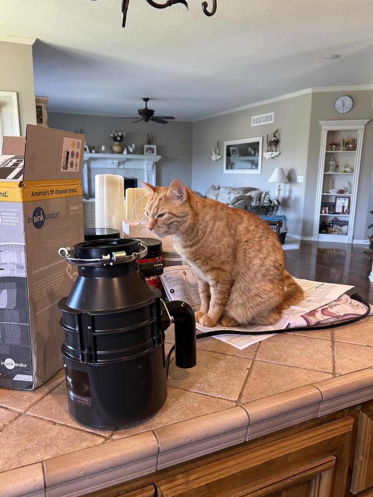 InSinkErator Garbage Disposal with Power Cord, Badger 1, Standard Series, 1/3 HP Continuous Feed, Black - Customer Photo 1