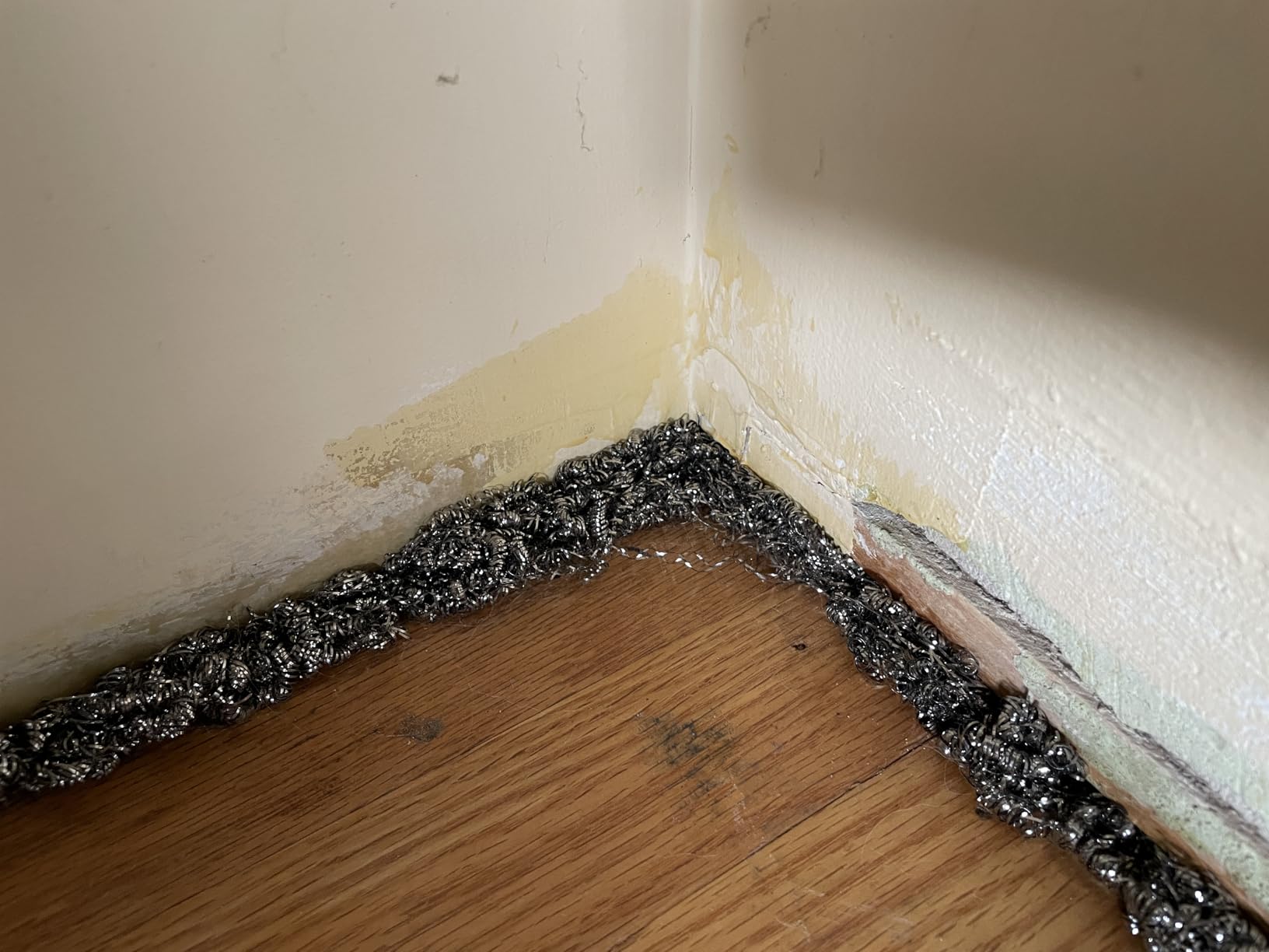 Scotch-Brite Stainless Steel Scrubbers, Scouring Pads for Cleaning Tough Baked-On Messes, Metal Scrubbers for Cleaning Dishes, 3 Scrub Pads Customer Review Scotch-Brite Stainless Steel Scrubbers, Scouring Pads for Cleaning Tough Baked-On Messes, Metal Scrubbers for Cleaning Dishes, 3 Scrub Pads - Customer Photo 2