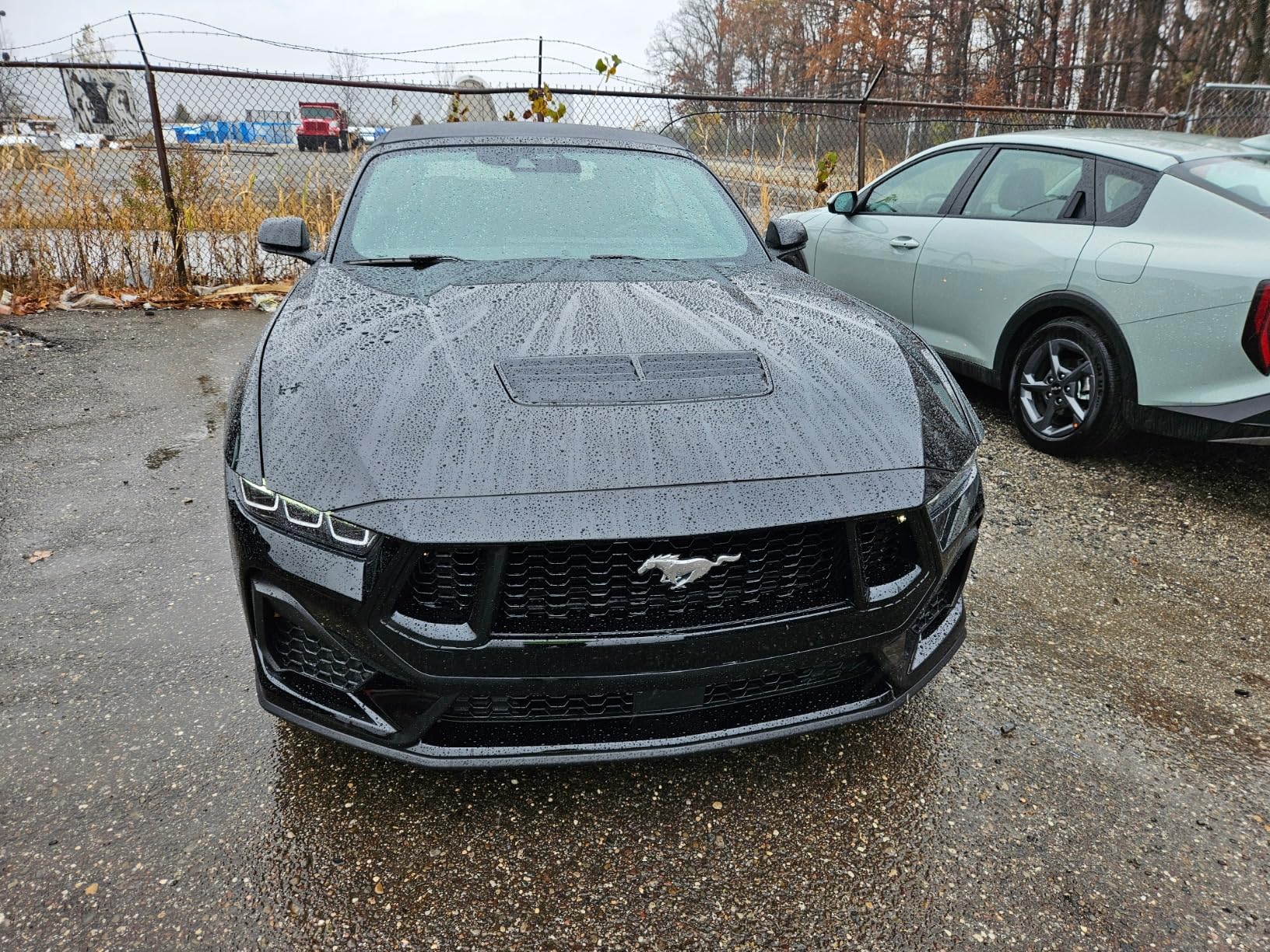 Collinite 476 Super Doublecoat Wax - Carnauba + Polymer Sealant - High Gloss Shine + Ultra Durable Hydrophobic Beading & Long-Lasting Paint Protection for Cars, Trucks, and Motorcycles (9 fl oz) customer photo 2