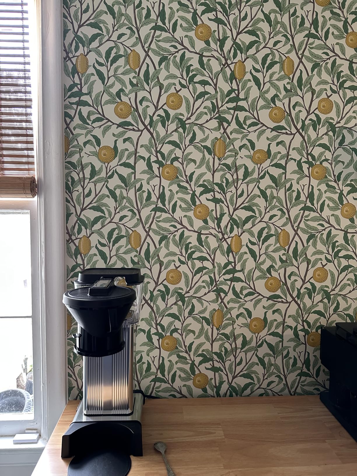 Technivorm Moccamaster 79112 KBT Coffee Brewer, 40 oz, Polished Silver - Customer Photo 1