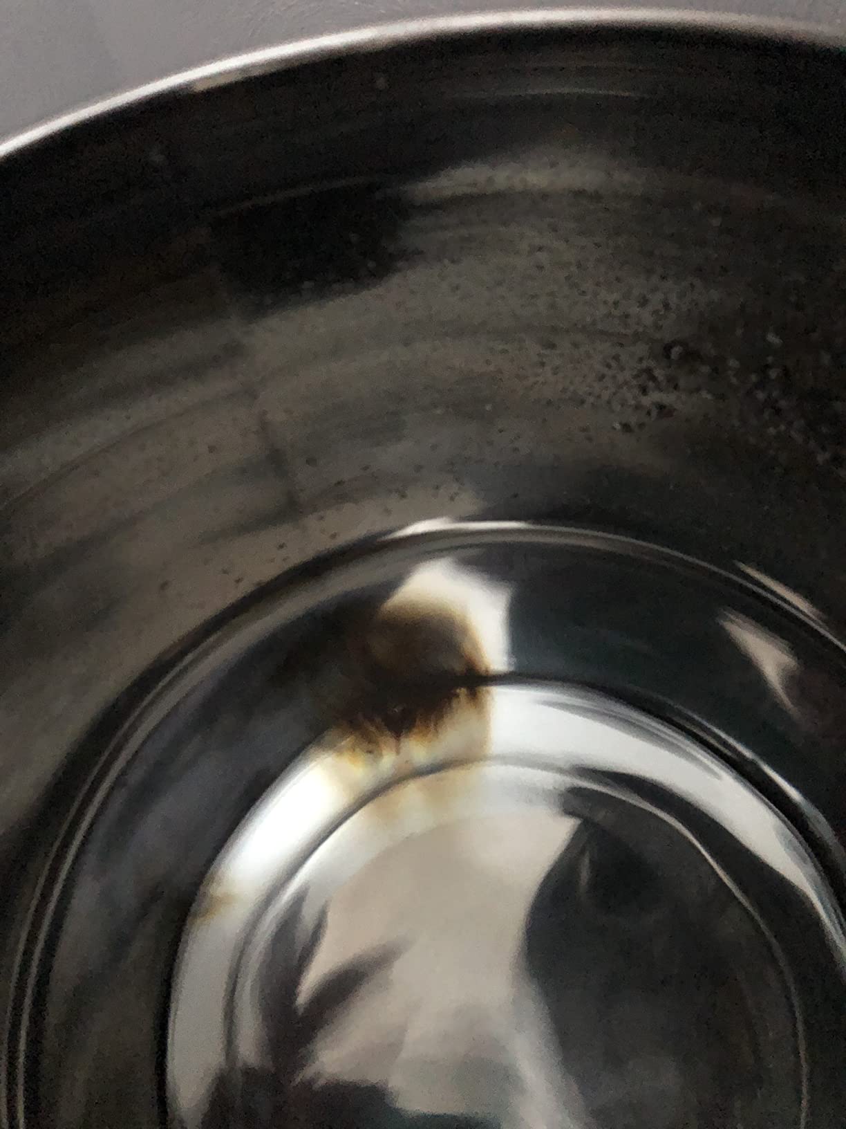 Royal Berkey Gravity-Fed Stainless Steel Countertop Water Filter System 3.25 Gallon with 2 Authentic Black Berkey Elements BB9-2 Filters Customer Review Royal Berkey Gravity-Fed Stainless Steel Countertop Water Filter System 3.25 Gallon with 2 Authentic Black Berkey Elements BB9-2 Filters - Customer Photo 2