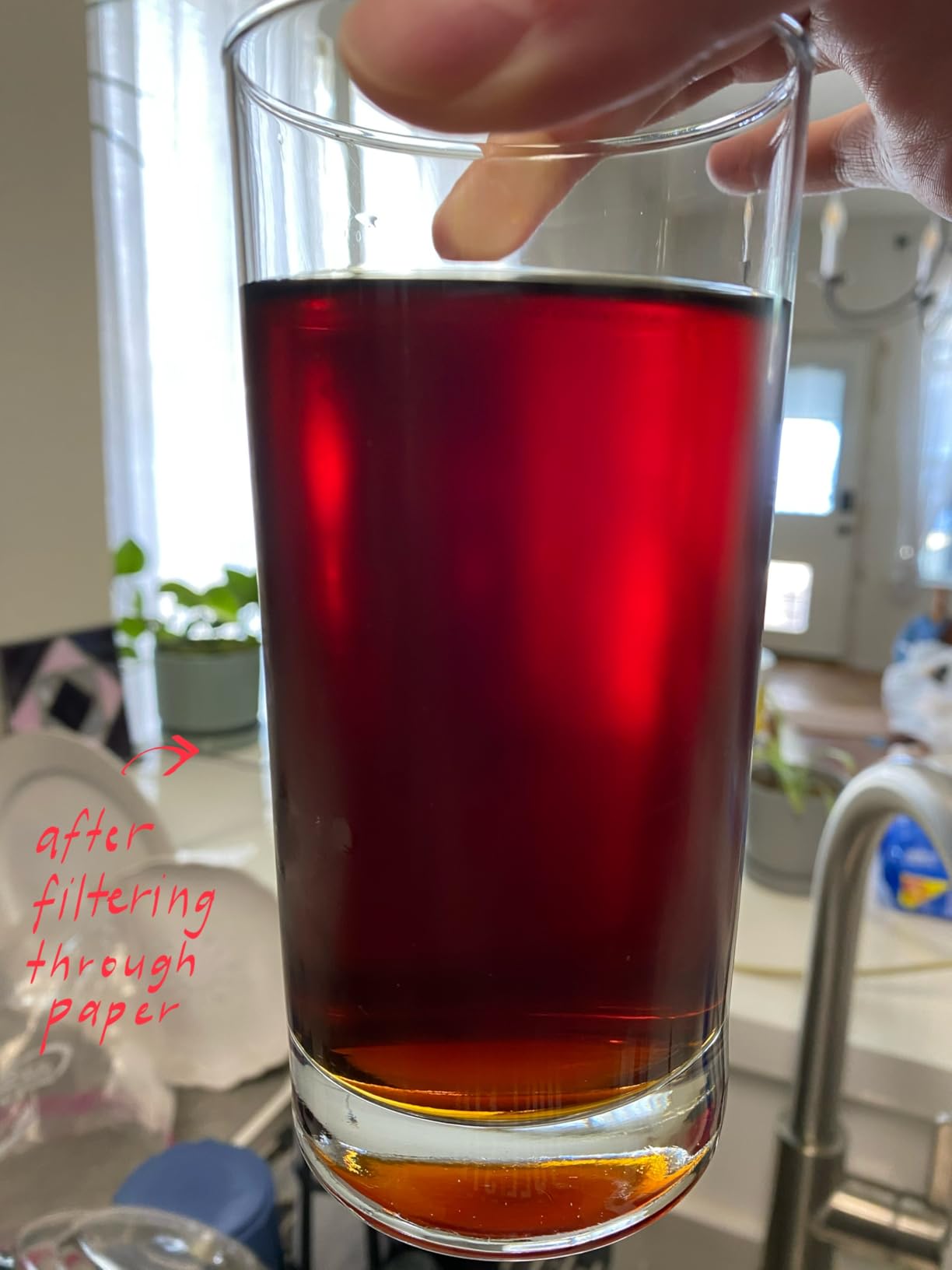 Takeya Tritan Cold Brew Coffee Maker - Airtight Pitcher with Leak-Free Lid - BPA-Free Cold Brew Maker with Silicone Handle - Dishwasher-Safe Pitcher for Homemade Cold Brew - 1 Quart, Black - Customer Photo 4