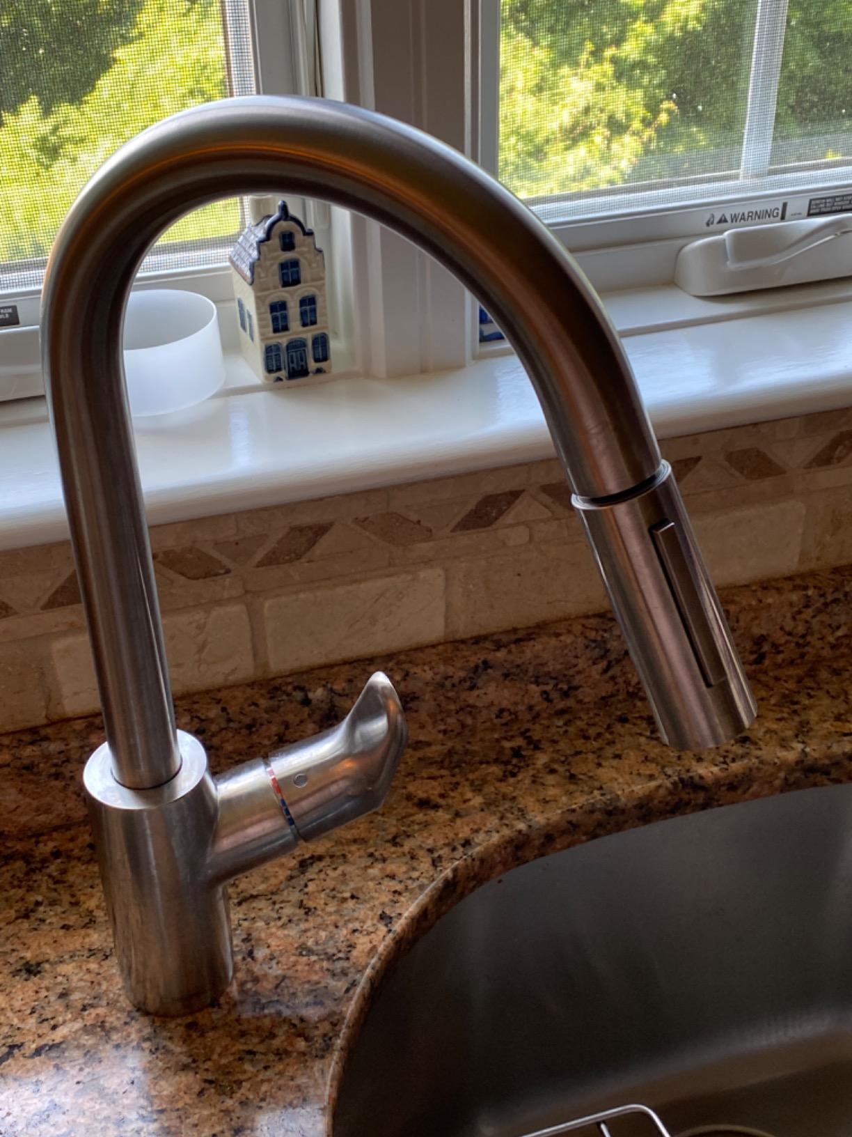 hansgrohe Focus Stainless Steel High Arc Kitchen Faucet, Kitchen Faucets with Pull Down Sprayer, Faucet for Kitchen Sink, Magnetic Docking Spray Head, Stainless Steel Optic 04505800, 1.75 - Customer Photo 4