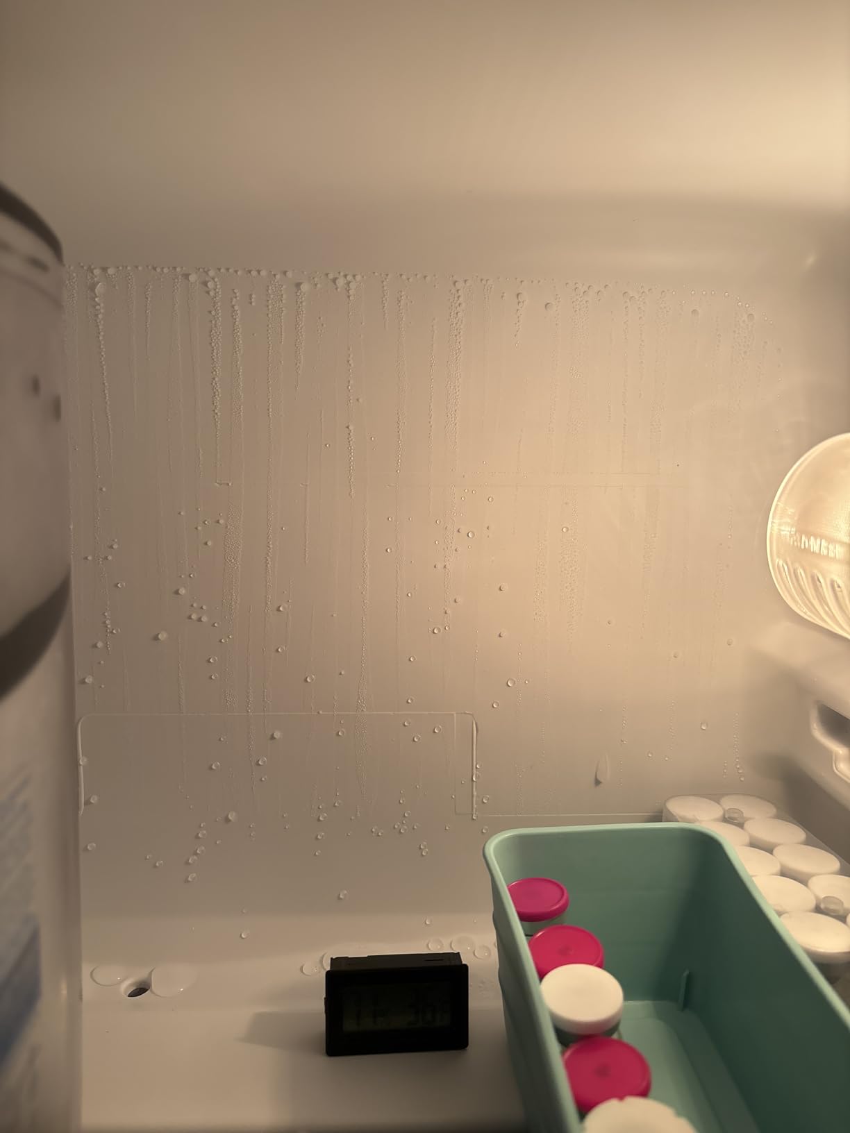 Midea WHD-113FB1 Double Door Mini Fridge with Freezer for Bedroom Office or Dorm with Adjustable Remove Glass Shelves Compact Refrigerator, 3.1 cu ft, Black Customer Review Midea WHD-113FB1 Double Door Mini Fridge with Freezer for Bedroom Office or Dorm with Adjustable Remove Glass Shelves Compact Refrigerator, 3.1 cu ft, Black - Customer Photo 4