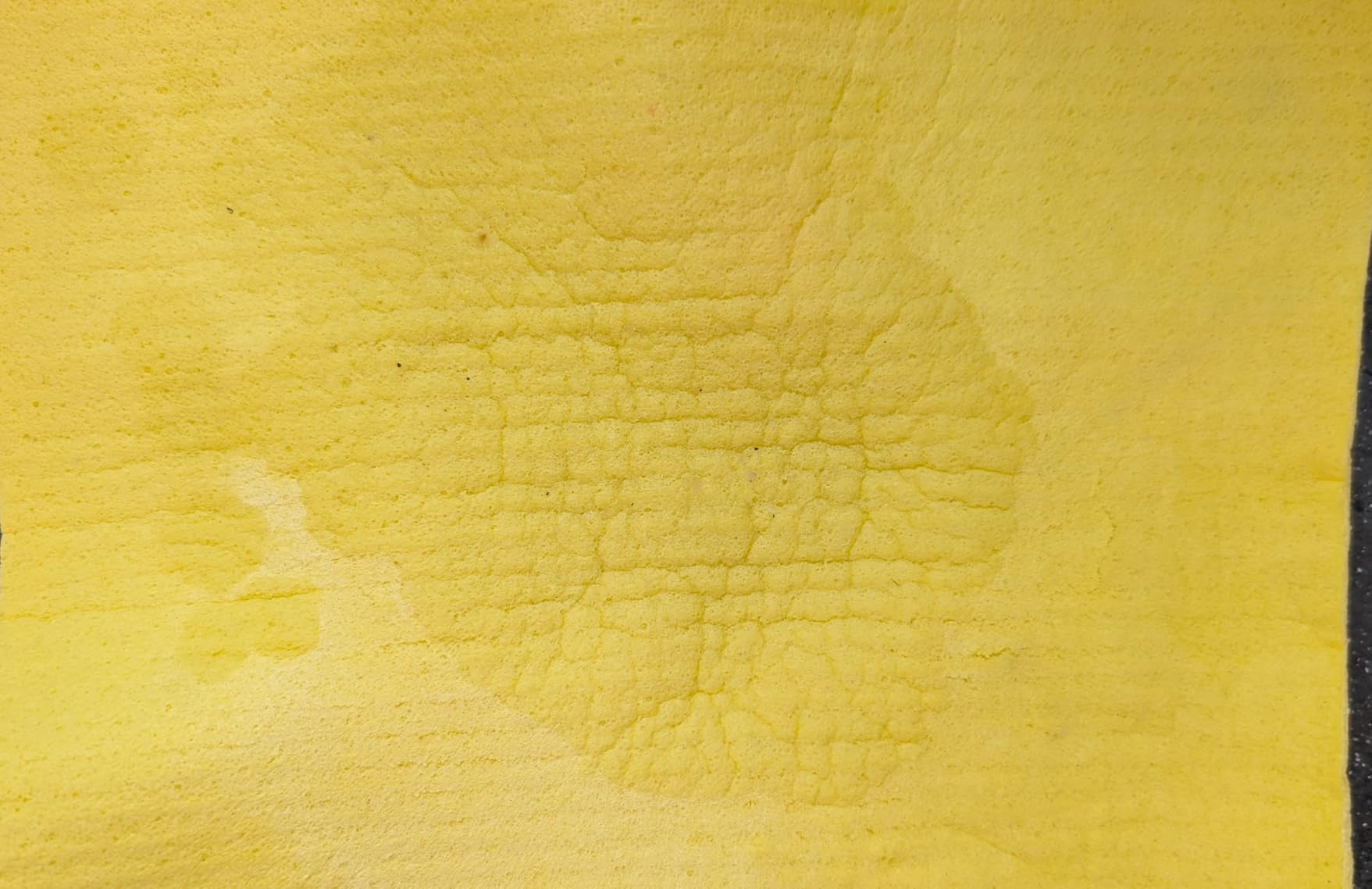 Bonavita 5 Cup Drip Coffee Maker Machine, One-Touch Pour Over, Auto Pause Brewing with Stainless Steel Double Wall Thermal Carafe, SCA Certified, Dishwasher Safe, BV1500TS - Customer Photo 3