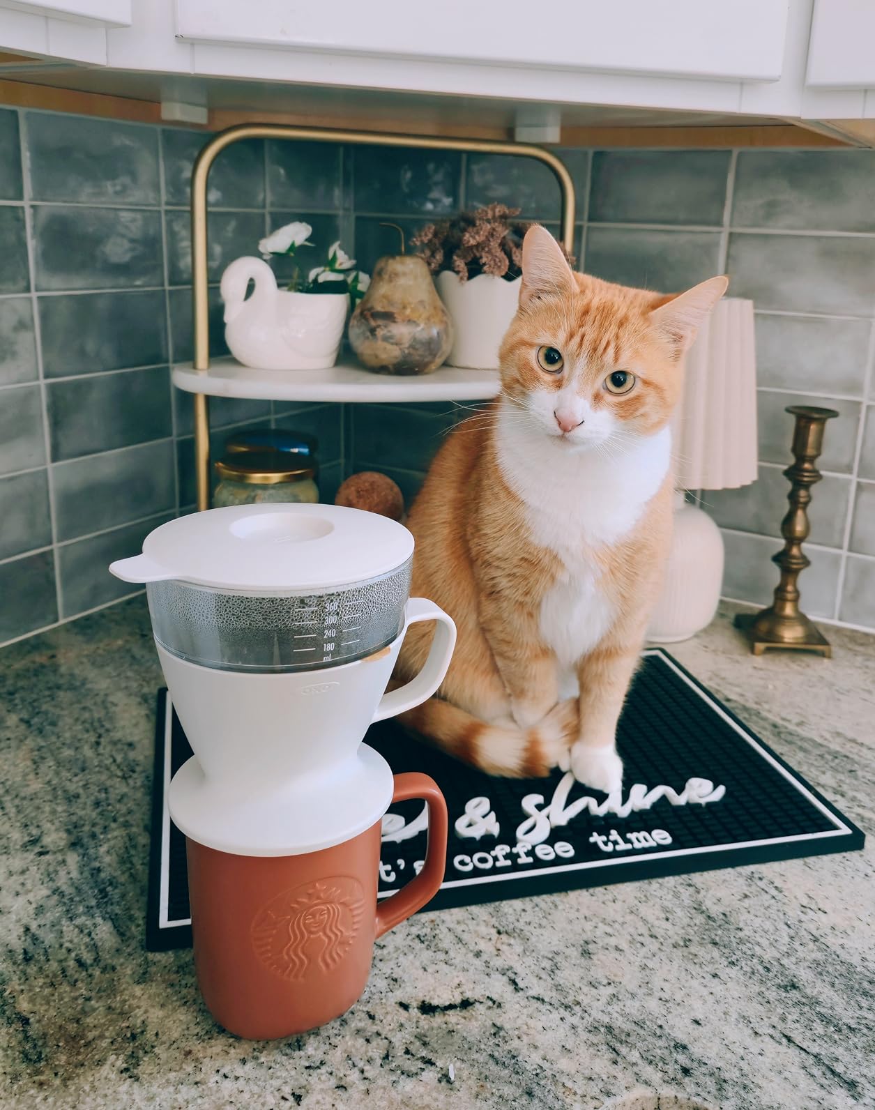 OXO Brew Single Serve Pour-Over Coffee Maker - Customer Photo 1