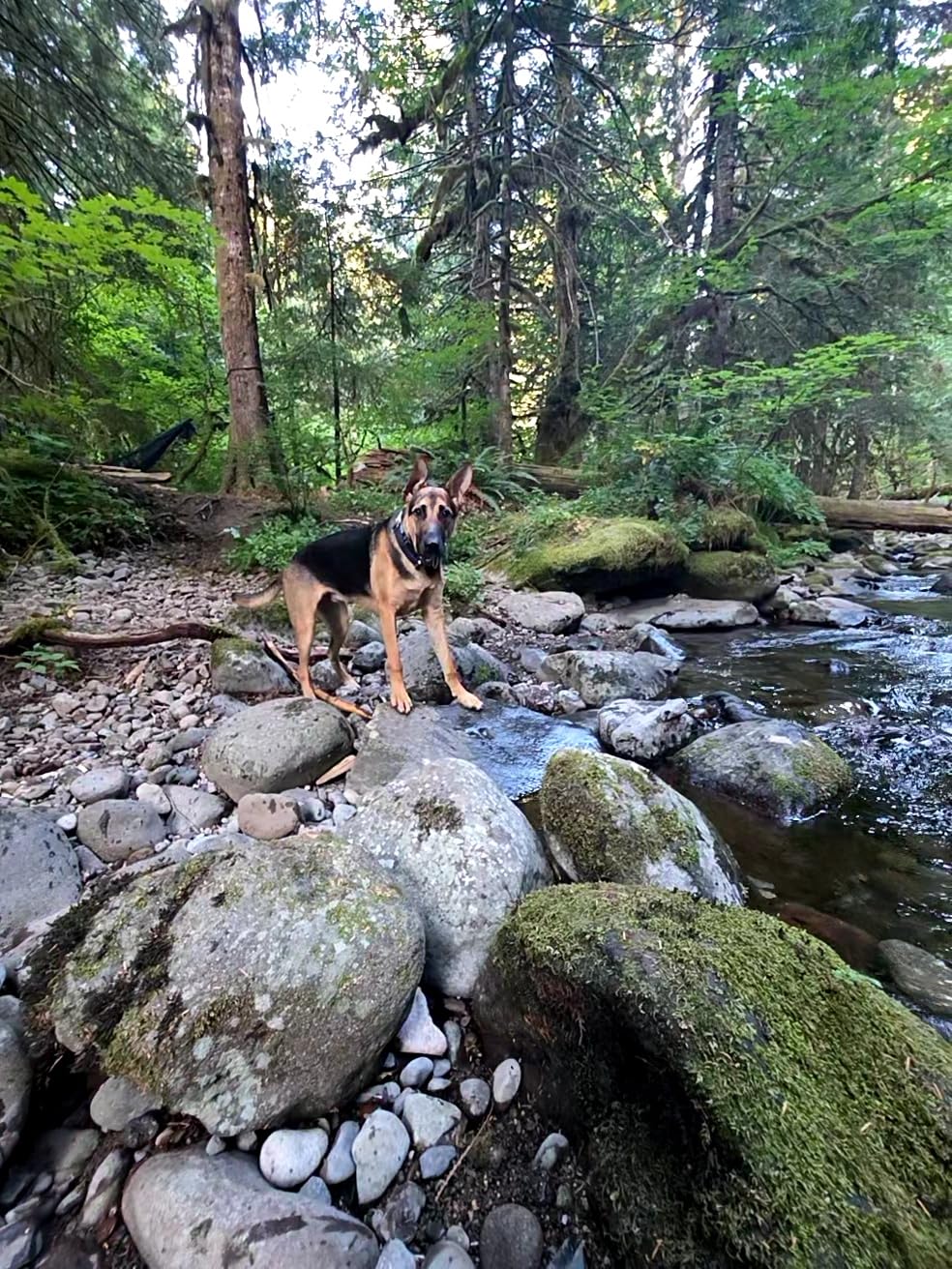 MSR TrailShot Ultralight Backpacking and Camping Squeeze Water Filter - Customer Photo 1