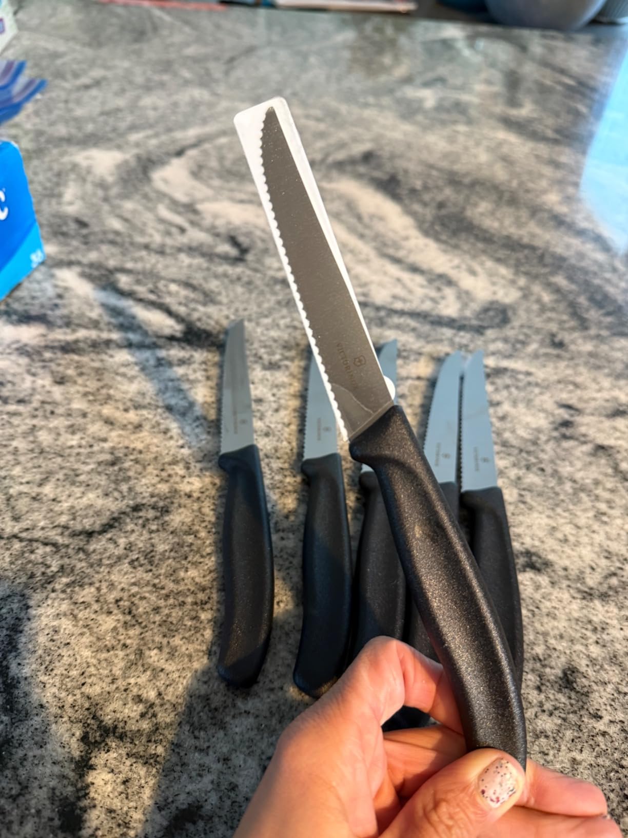 Victorinox 6.7233.6 Swiss Classic Steak Knife Set Ideal for Slicing a Wide Variety of Steak Cuts Serrated Blade in Black, Set of 6 - Customer Photo 2