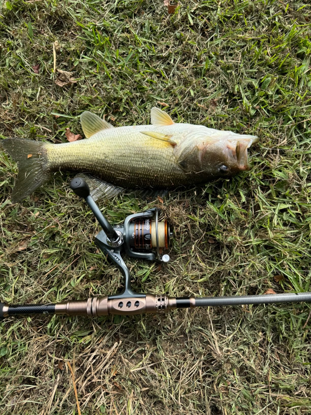 PLUSINNO Fishing Rod and Reel Combos Carbon Fiber Telescopic Fishing Pole with Reel Combo Sea Saltwater Freshwater Kit customer photo 2