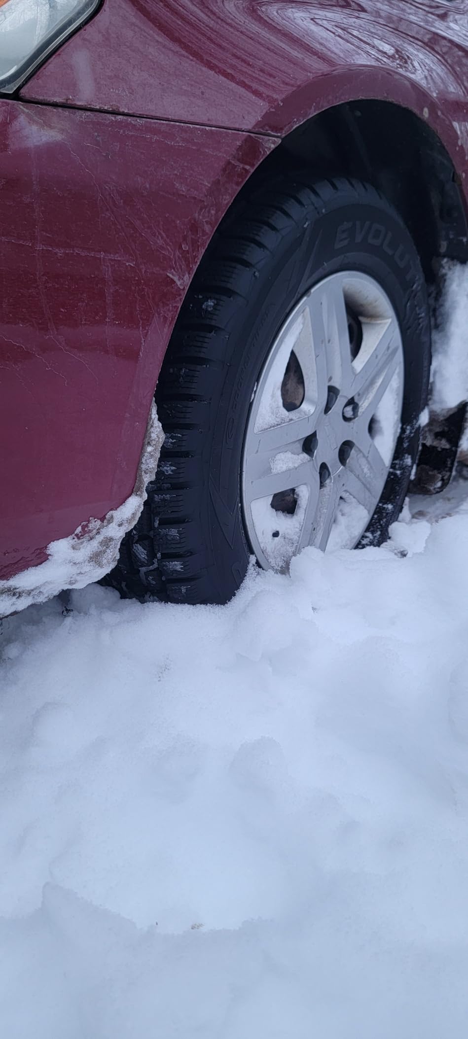 Cooper Evolution Winter 195/65R15XL 95T Tire customer photo 1