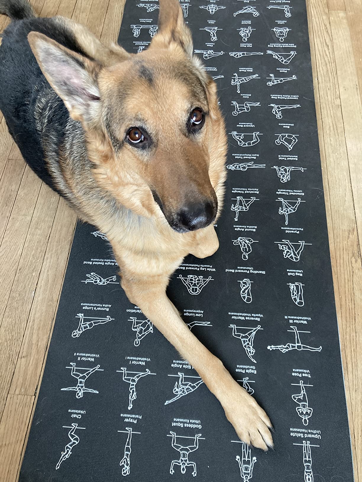 NewMe Fitness Yoga Mat for Women and Men - Large, 5mm Thick, 68 Inch Long, Non Slip Exercise Mats w/ 70 Printed Yoga Poses for Pilates, Workout and Stretching - Home and Gym Essentials customer photo 1