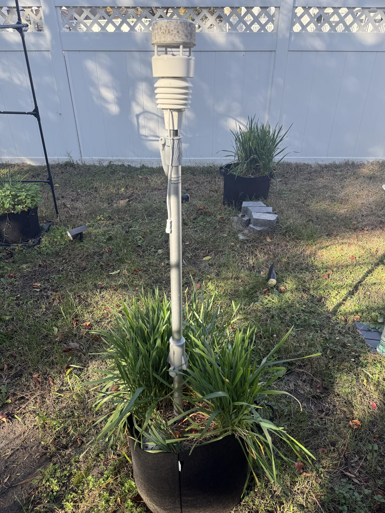 Gardzen 10-Pack 10 Gallon Grow Bags, 300G Thickened Aeration Fabric Pots with Handles - Customer Photo 2