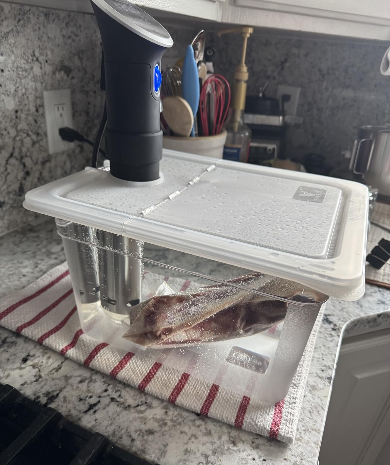 EVERIE Sous Vide Container 12 Quart EVC-12 with Collapsible Hinged Lid Compatible with Anova Nano or AN500-US00 or Anova Pro 3.0 or Anova Mini Also Fits Instant Pot Customer Review EVERIE Sous Vide Container 12 Quart EVC-12 with Collapsible Hinged Lid Compatible with Anova Nano or AN500-US00 or Anova Pro 3.0 or Anova Mini Also Fits Instant Pot - Customer Photo 1