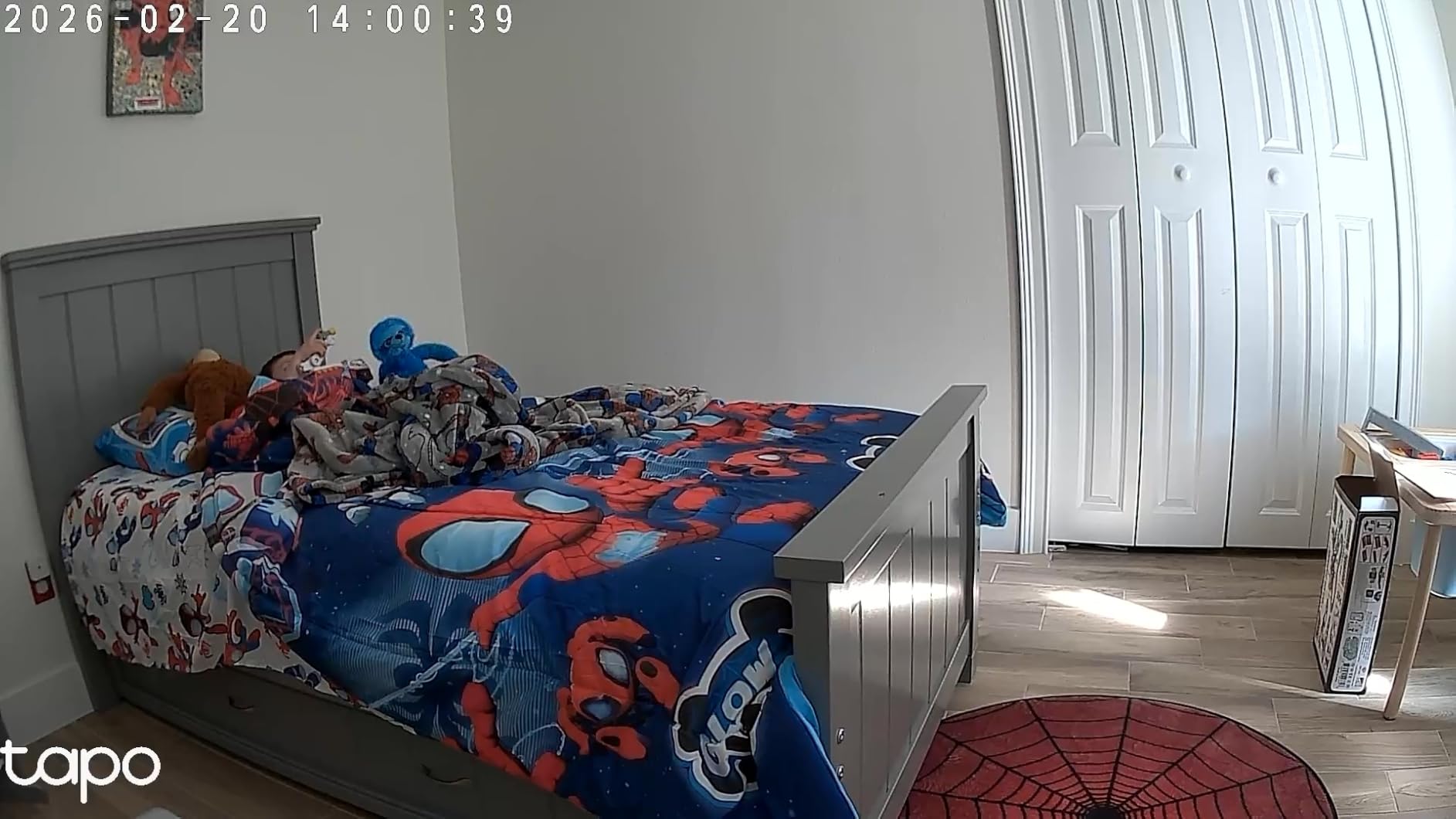 TP-Link Tapo 1080P Indoor Security Camera for Baby Monitor, Dog Camera w/Motion Detection, 2-Way Audio Siren, Night Vision, Cloud & SD Card Storage, Works w/Alexa & Google Home customer photo 1