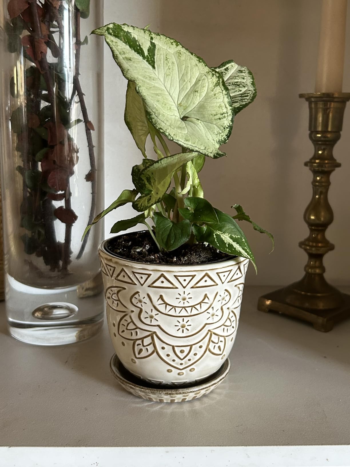 Gepege 6 Inch Beaded Ceramic Planter Set of 2 with Drainage Hole and Saucer for Plants, Indoor-Outdoor Large Round Succulent Orchid Flower Pot (Smoked Gray, Inner-pots not Larger Than 5 Inch) - Customer Photo 1