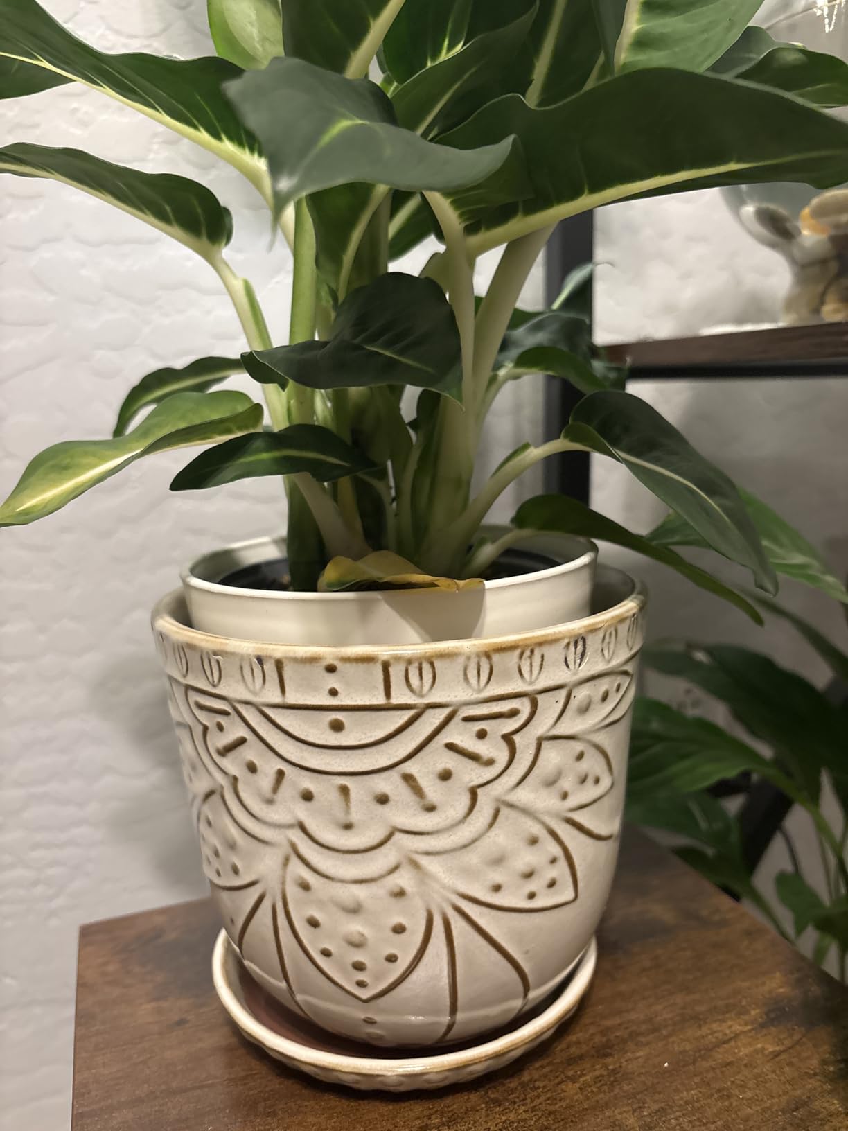 Gepege 6 Inch Beaded Ceramic Planter Set of 2 with Drainage Hole and Saucer for Plants, Indoor-Outdoor Large Round Succulent Orchid Flower Pot (Smoked Gray, Inner-pots not Larger Than 5 Inch) - Customer Photo 4