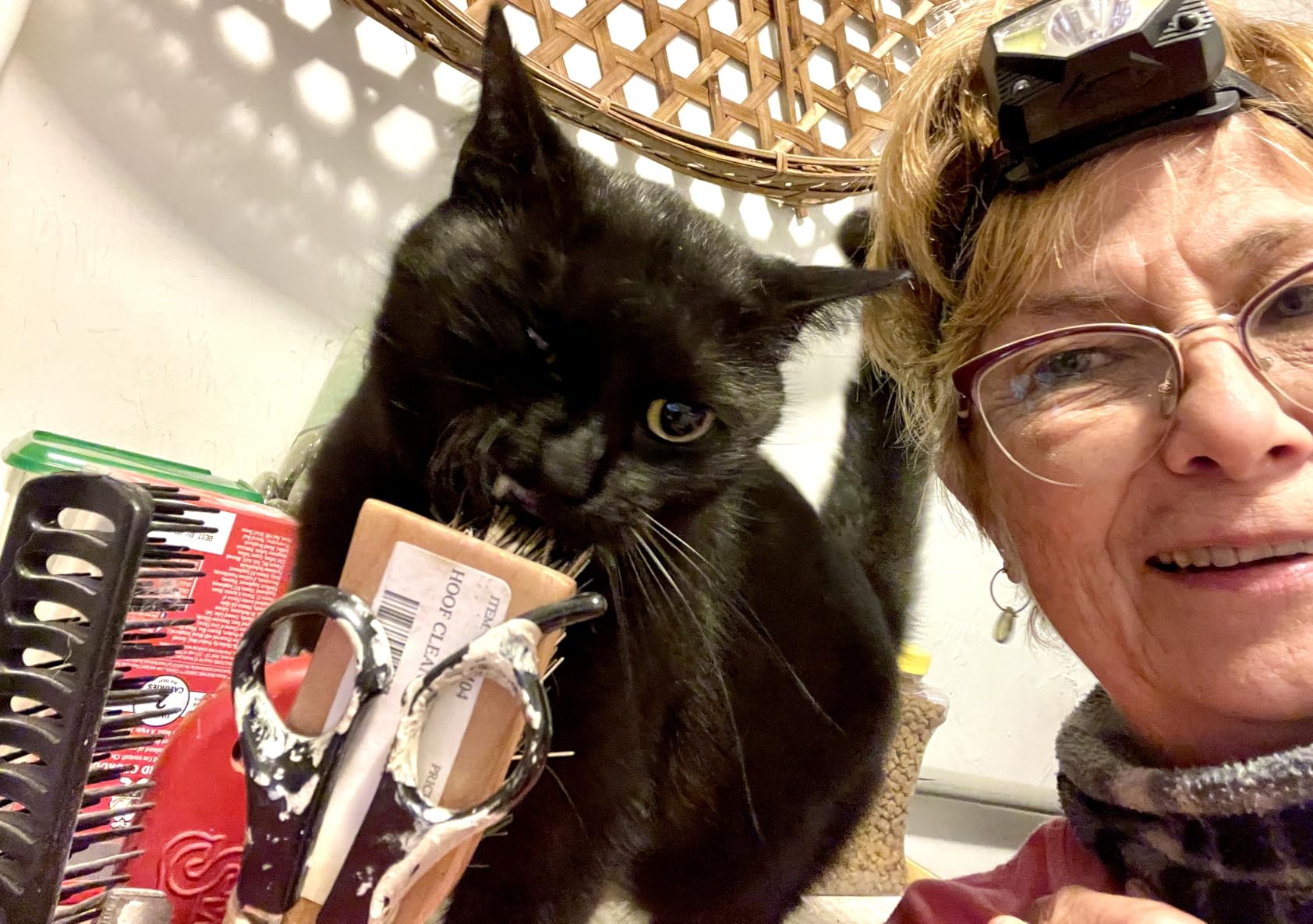 LHKNL Headlamp Flashlight, Lumen Ultra-Light Bright LED Rechargeable Headlight with White Red Light, 2-Pack Waterproof Motion Sensor Head Lamp,8 Modes for Outdoor Camping Running Hiking Fishing customer photo 2