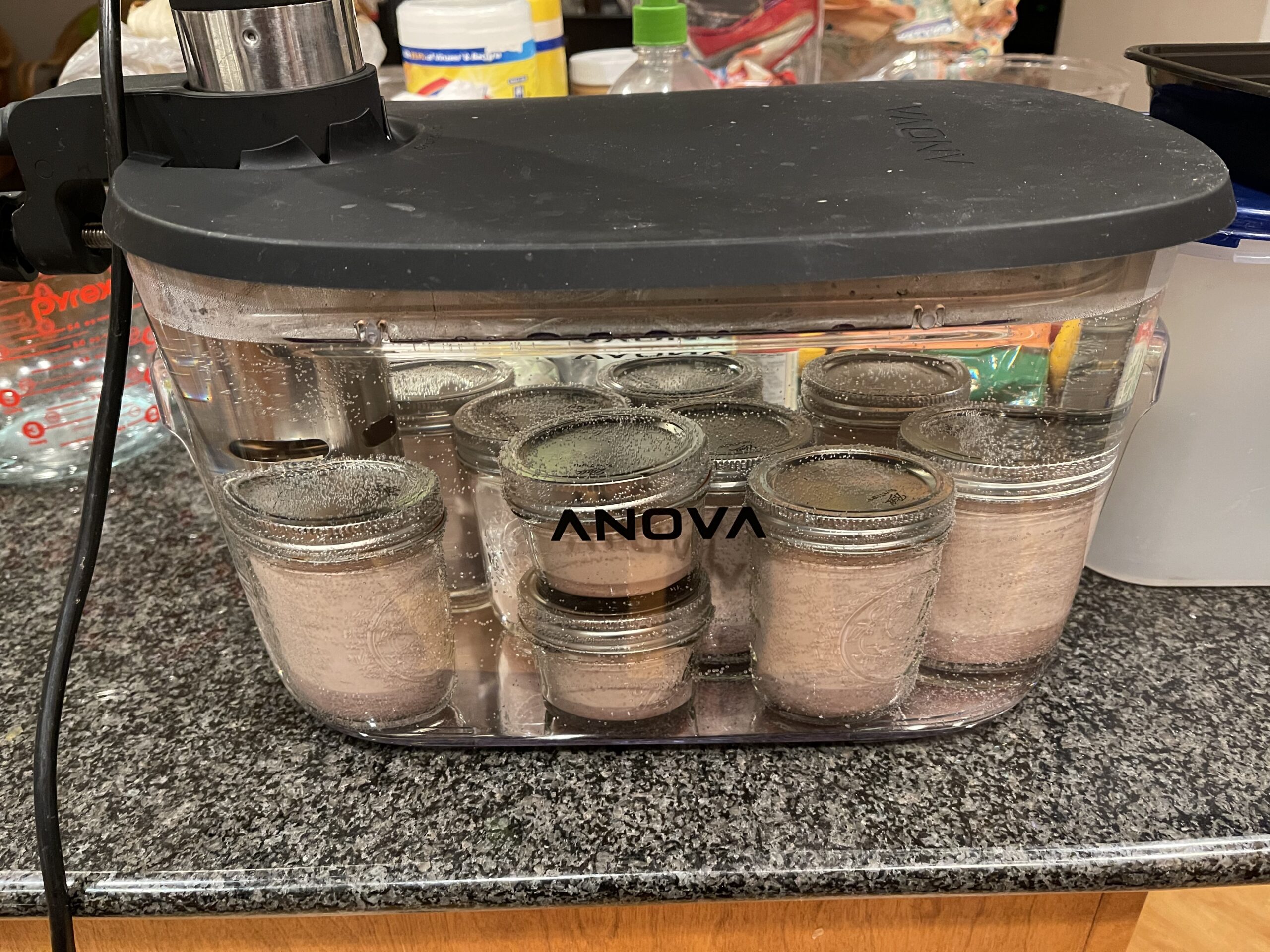 Anova Precision Cooker Container 12L Customer Review Anova Precision Cooker Container 12L - Customer Photo 4