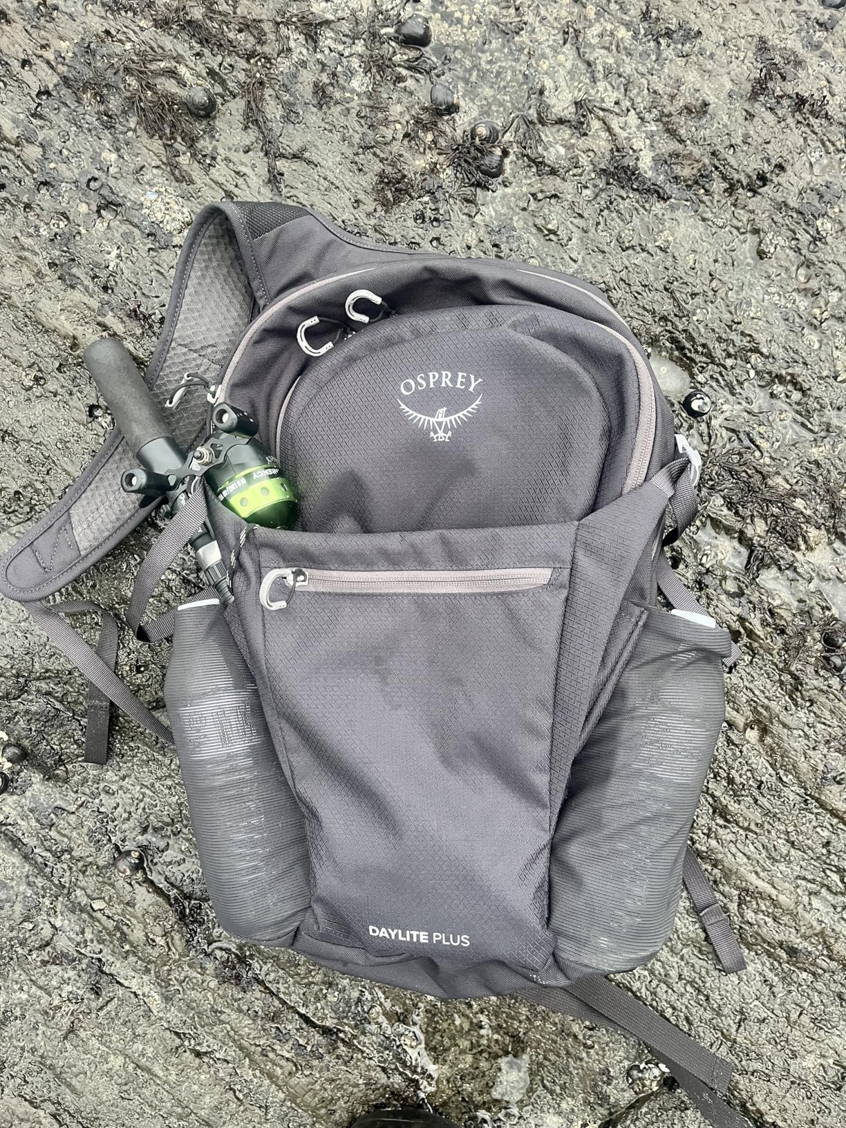 Osprey Daylite Plus Commuter Backpack - Lightweight, Everyday Pack with Laptop Sleeve customer photo 2