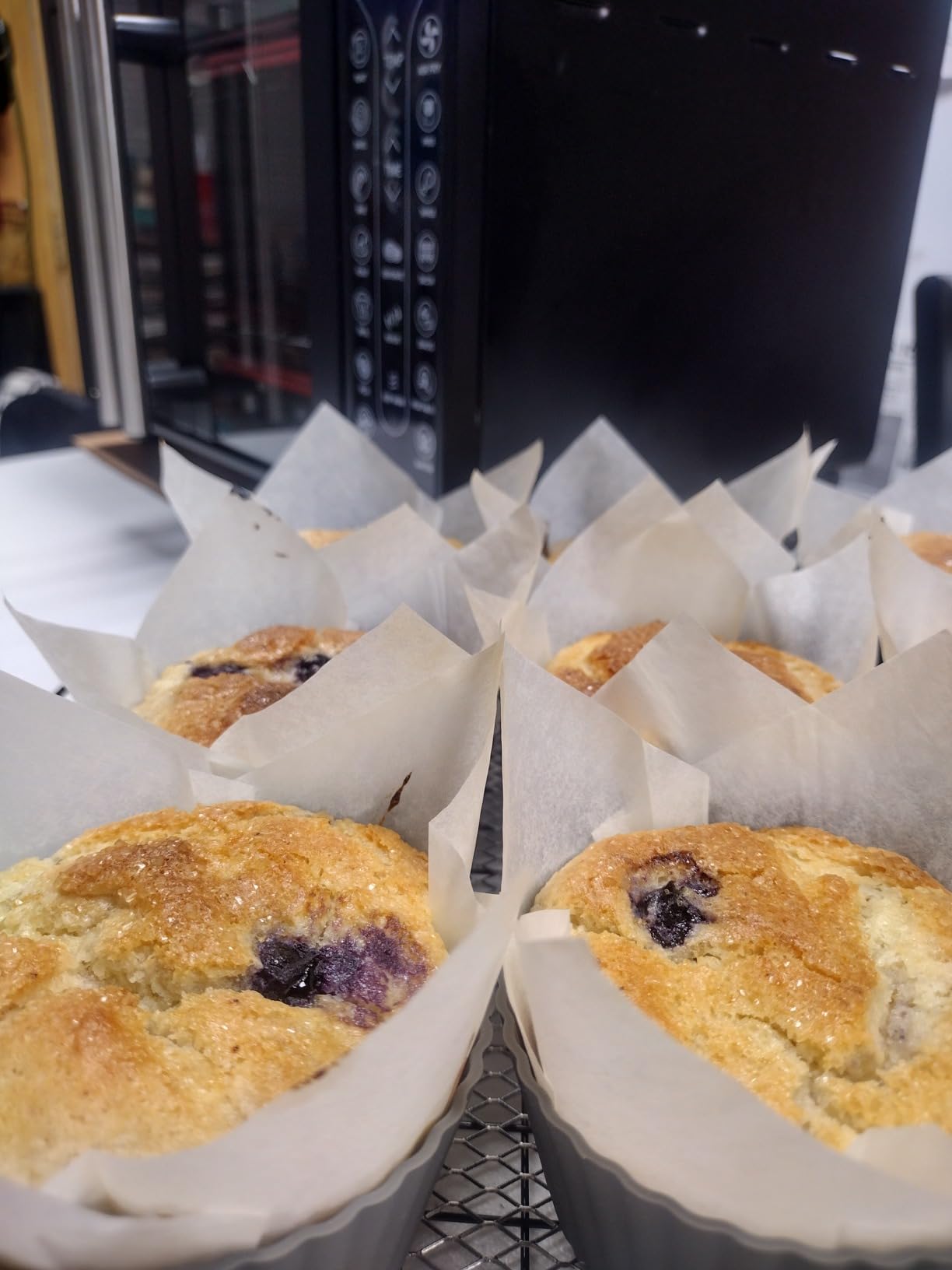 Gourmia French Door Air Fryer – 25 Qt Large Capacity Convection Oven, Fryforce 360°, Digital Display with 17 Cooking Presets, Bake, Toast, Roast, Dehydrate, Fits 12