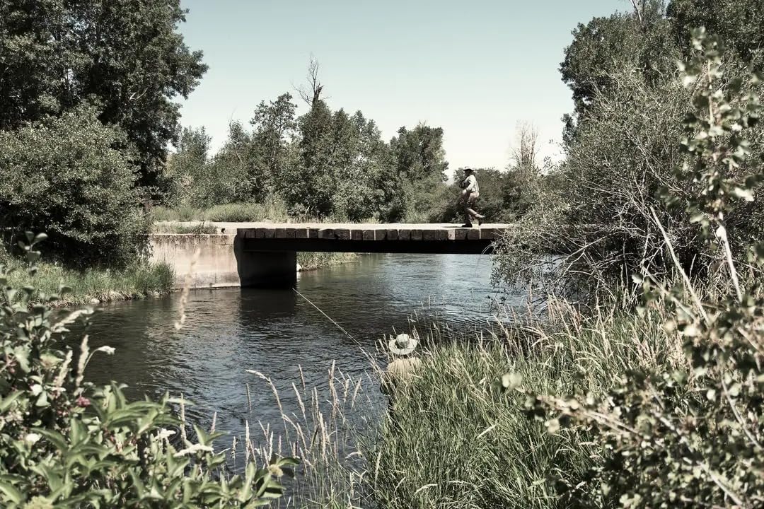 Sony Alpha ZV-E10 - APS-C Interchangeable Lens Mirrorless Vlog Camera Kit - Black customer photo 2