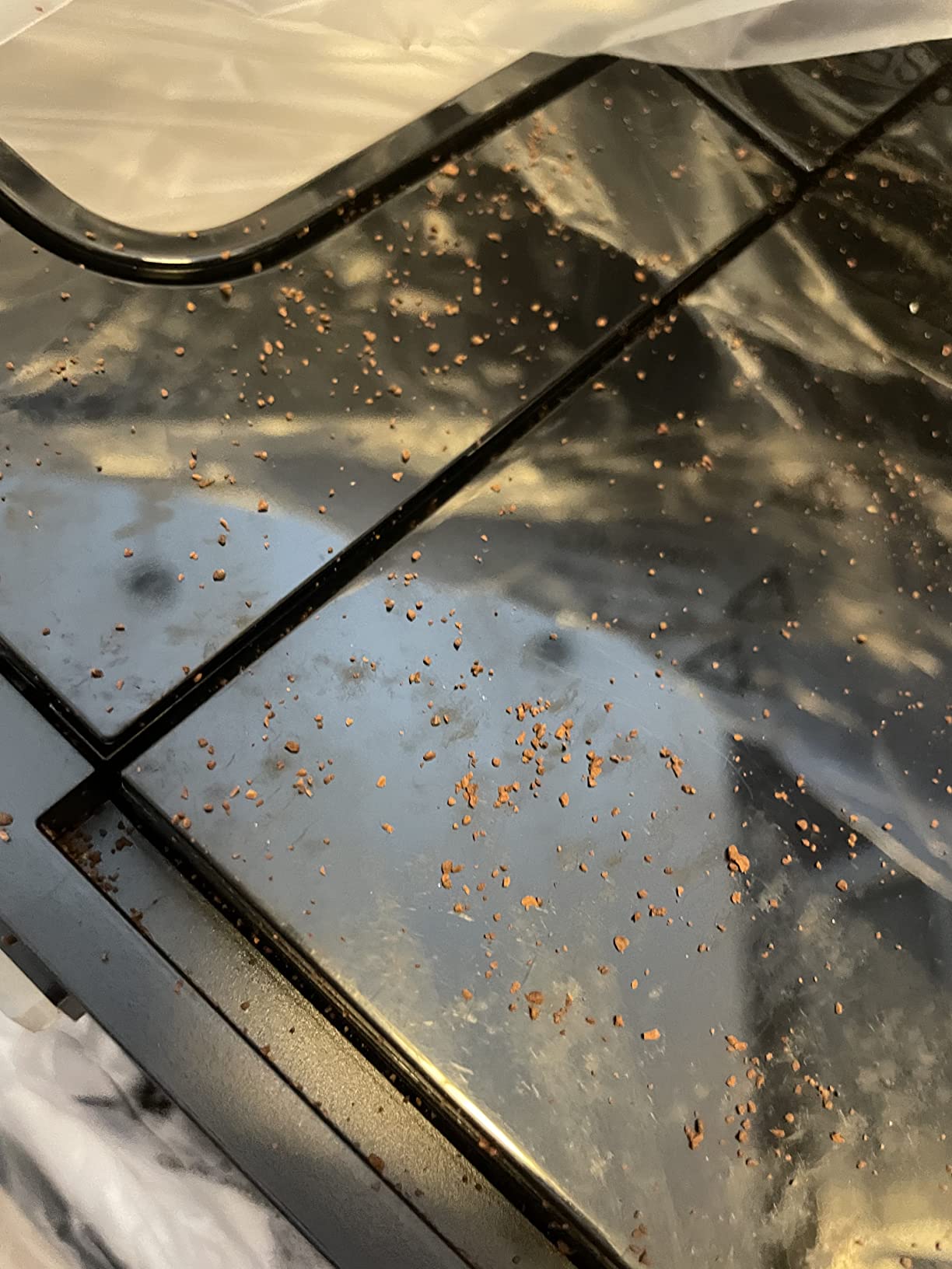 Miele CM 5310 Silence Automatic Coffee Maker - With OneTouch for Two, AromaticSystem, coffee pot, cleaning programs and more, in Obsidian Black - Customer Photo 2