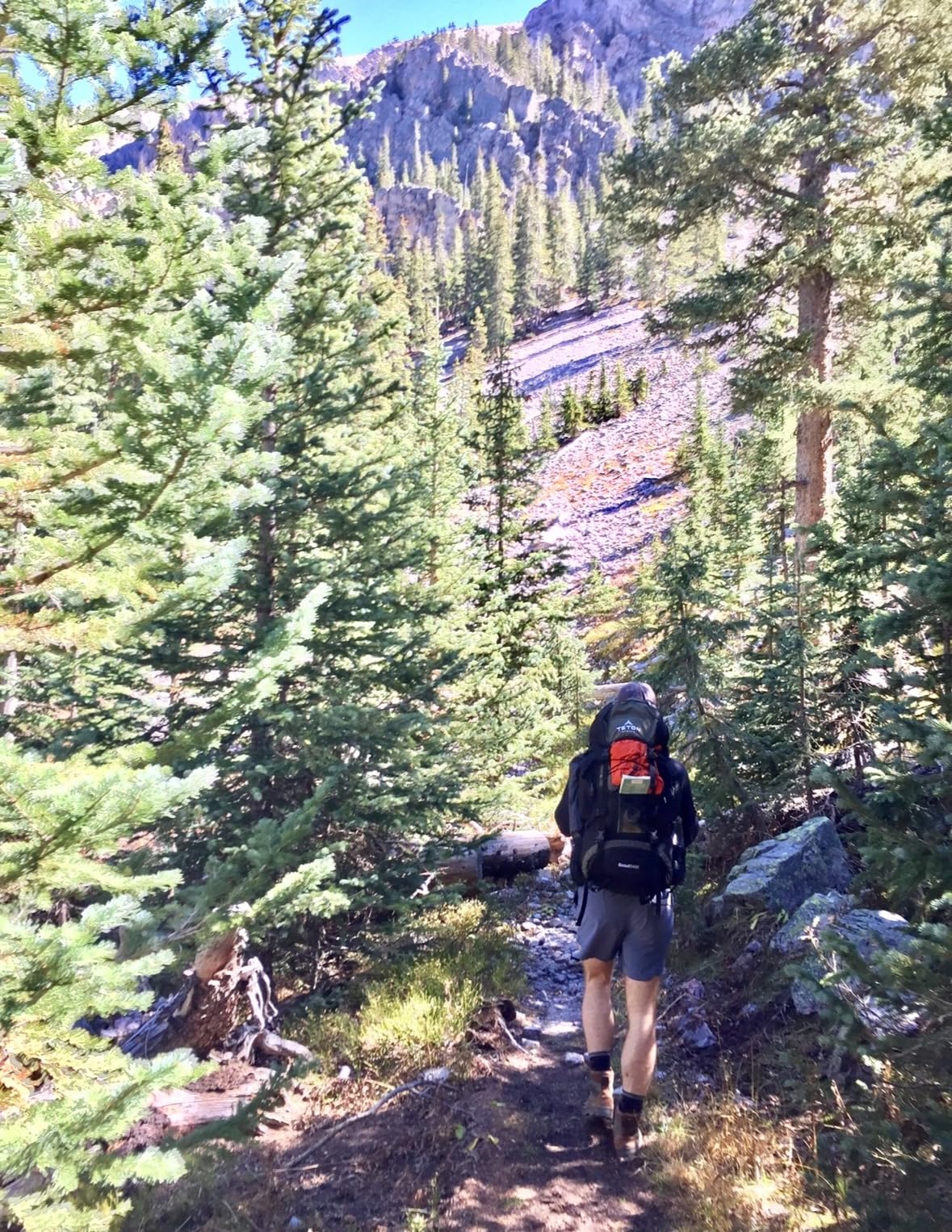 Teton 55L Scout Internal Frame Backpack for Hiking, Camping, Backpacking customer photo 1