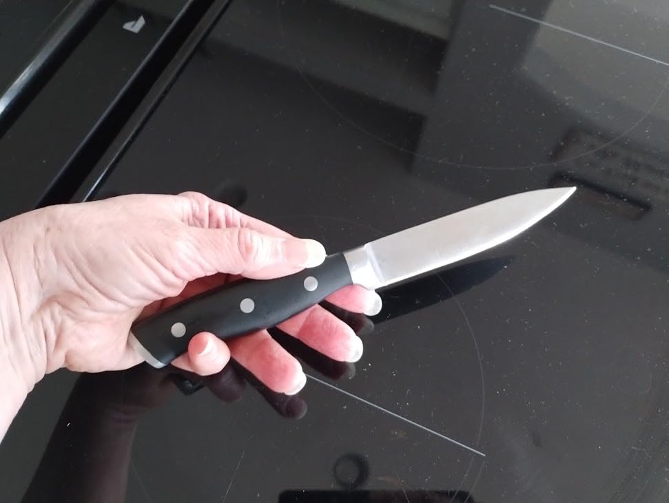 HENCKELS Forged Accent Razor-Sharp 2-pc Paring Knife Set, German Engineered Customer Review HENCKELS Forged Accent Razor-Sharp 2-pc Paring Knife Set, German Engineered - Customer Photo 1