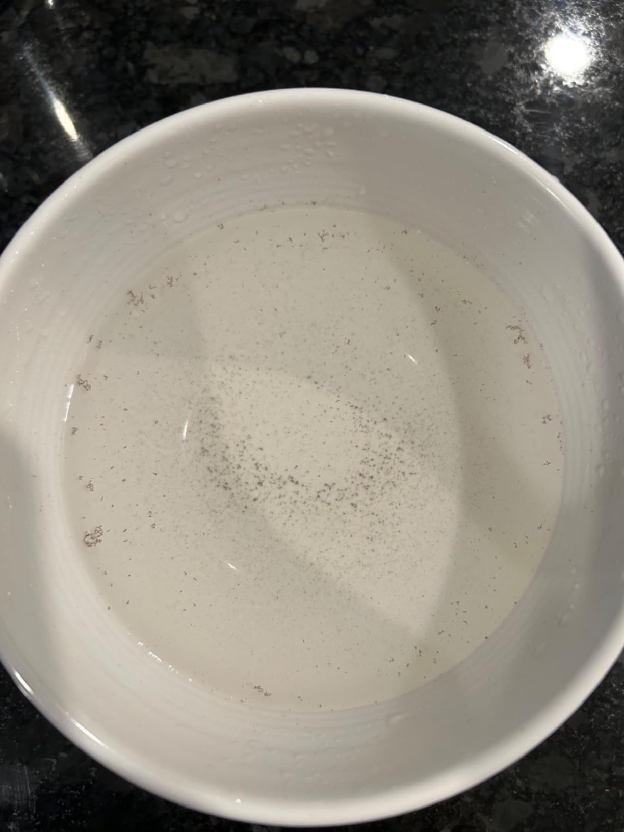 Rocket Espresso Appartamento Espresso Machine | E61 | Heat Exchanger | Black - Customer Photo 4