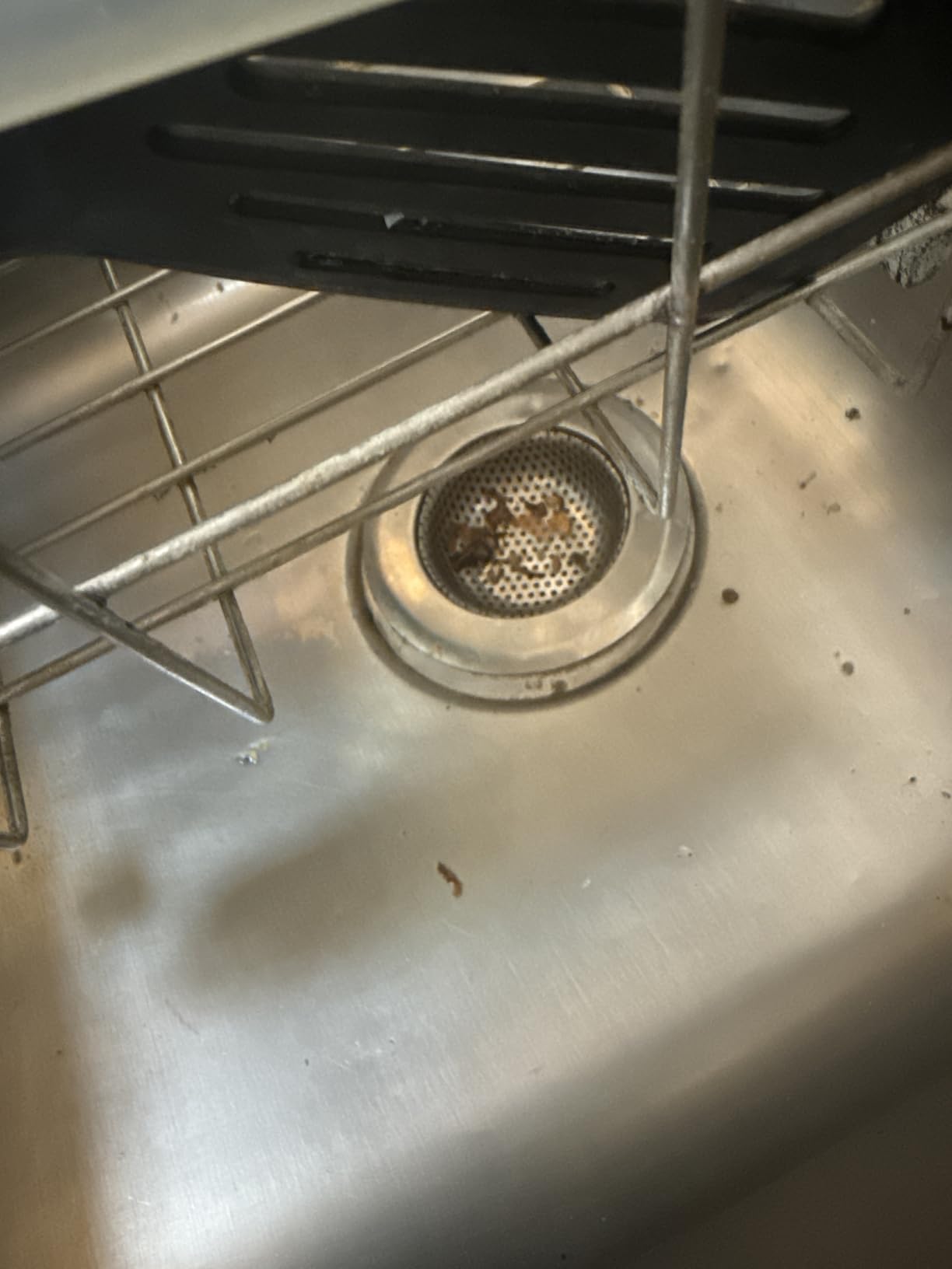 2 Pcs Sink Strainer for Most Kitchen Sink Drain Basket, Upgraded Double-Layer Safe Design Kitchen Sink Strainer (Outer Diameter 4.5 Inch) - Customer Photo 1