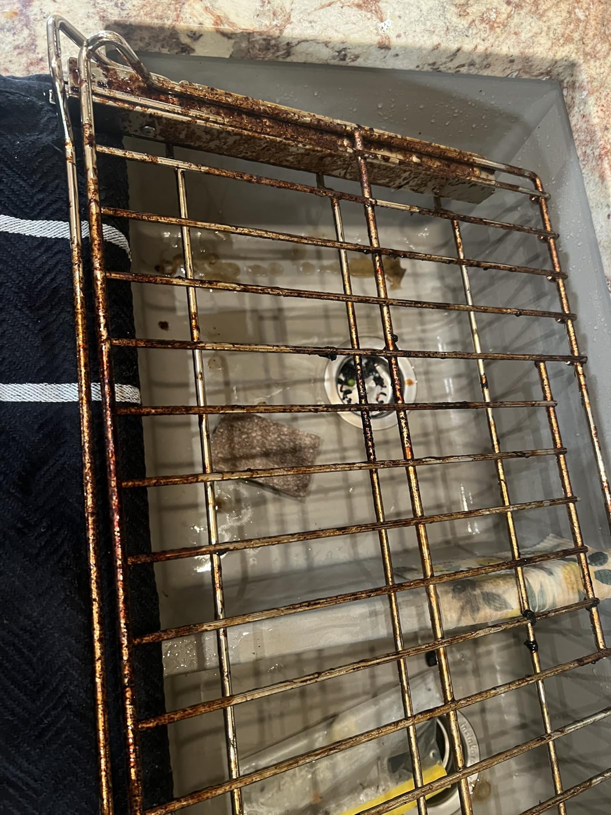 Carbona Oven Rack & Grill Cleaner | Eliminates Thick Grease & Build-Up | Griddle & BBQ Cleaning Solution | 16.8 Fl Oz, 1 Pack - Customer Photo 2