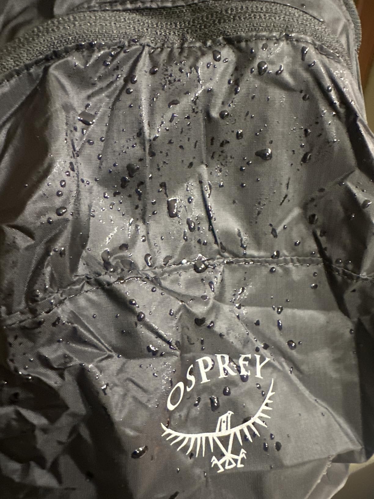 Osprey Ultralight Collapsible Stuff Pack - Lightweight, Packable Travel Backpack customer photo 1