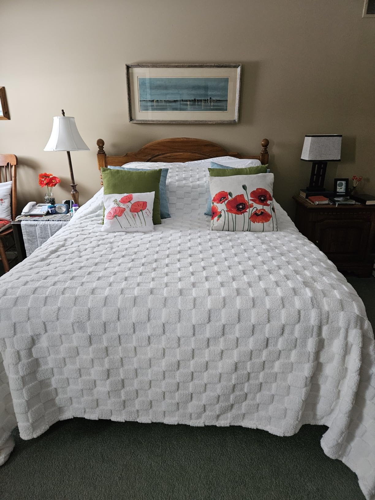 Bedsure GentleSoft Sage Green Throw Blanket for Couch - Checkered Fleece Blankets Gifts for Women Men Girls, Cute Soft Cozy Throw for Bedroom Home Decor Gifts, 50x60 Inches - Customer Photo 1