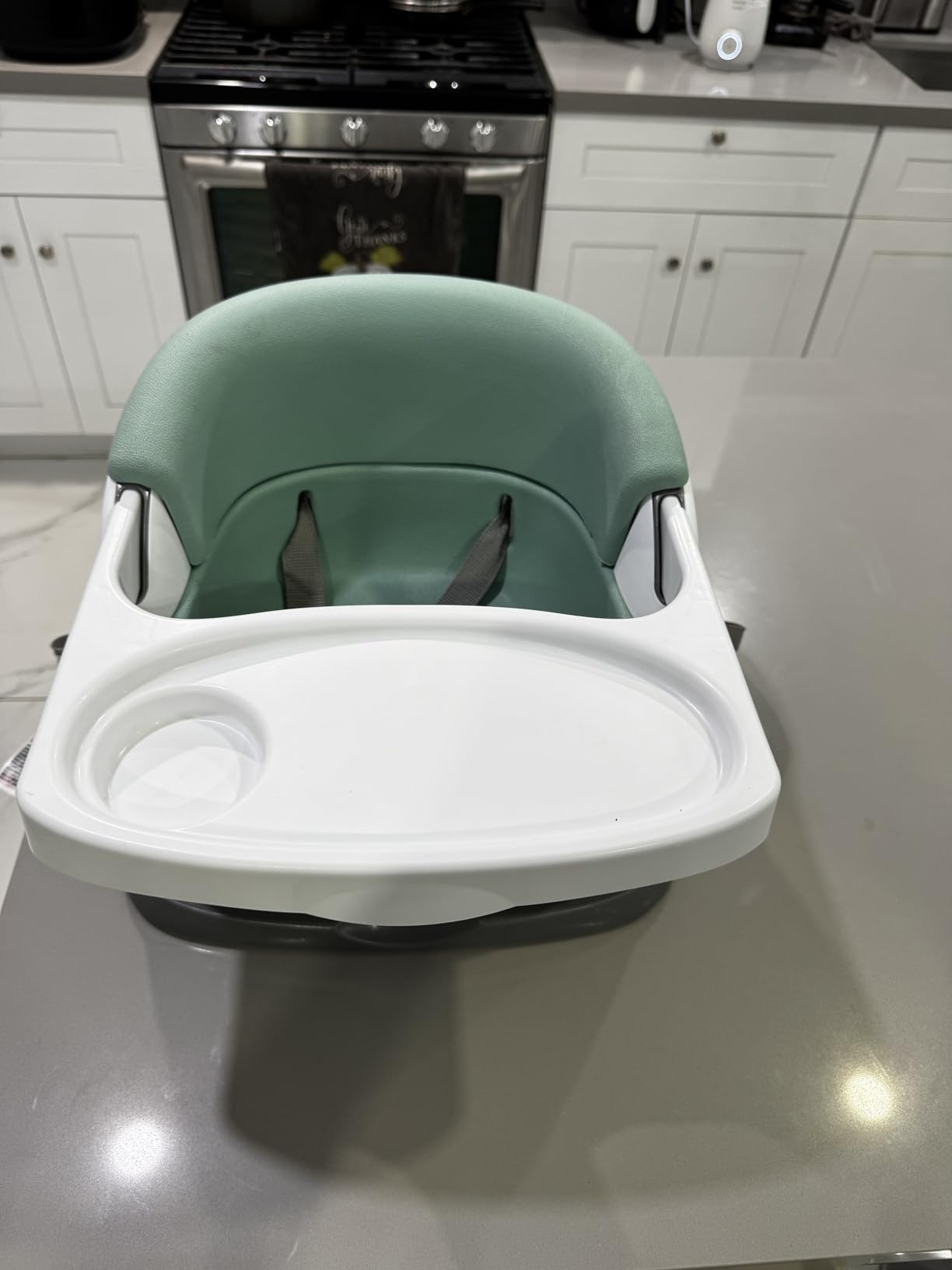 Ingenuity Baby Base 2-in-1 Booster Feeding and Floor Seat with Self-Storing Tray - Mist customer photo 1