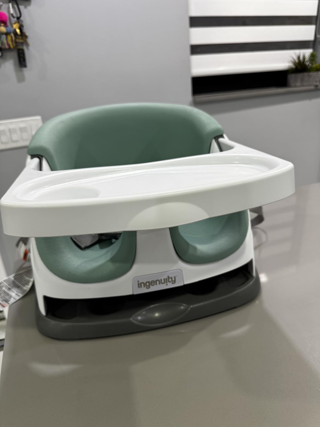 Ingenuity Baby Base 2-in-1 Booster Feeding and Floor Seat with Self-Storing Tray - Mist customer photo 2