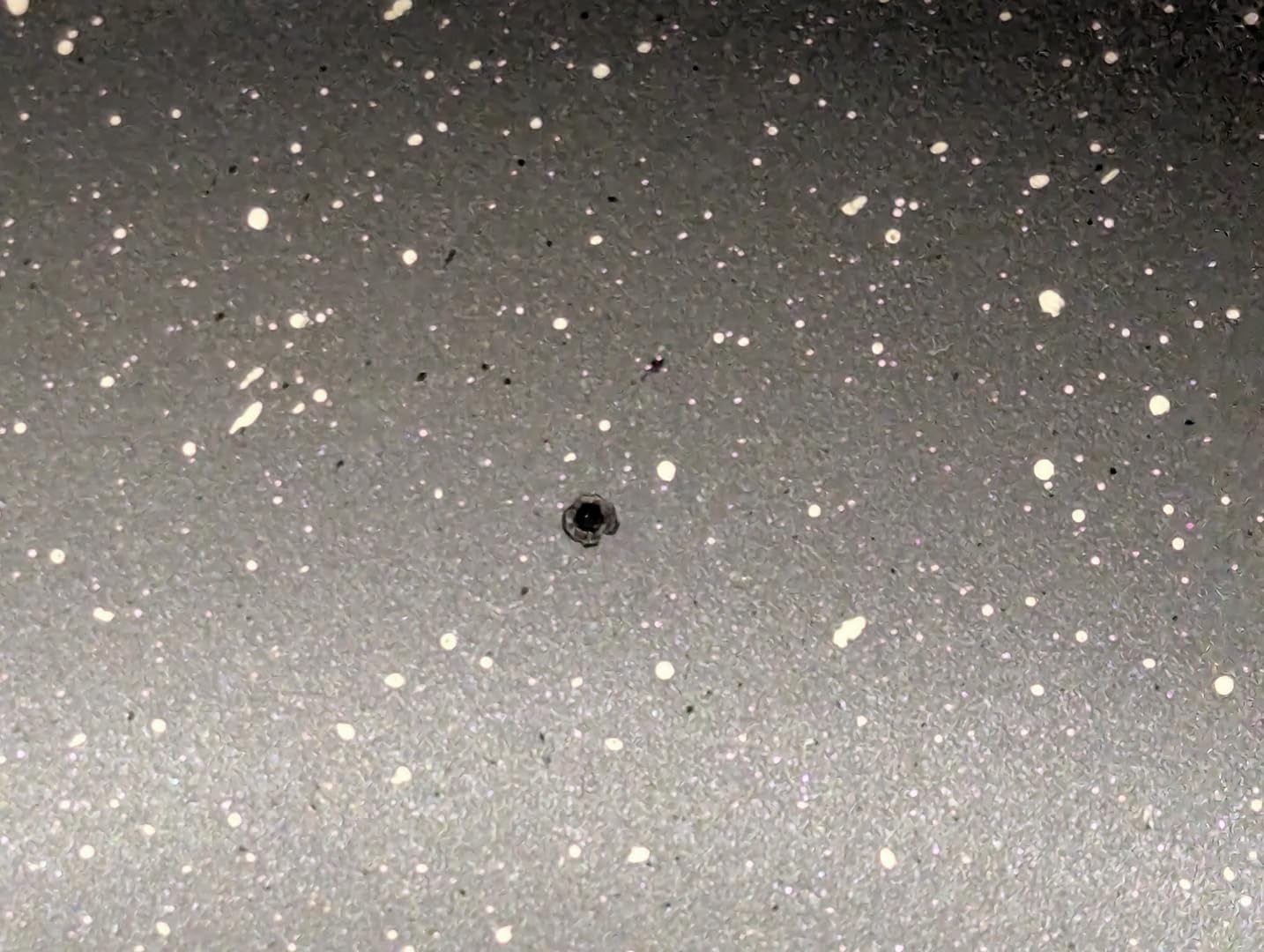 SENSARTE Nonstick Ceramic Frying Pan Skillet, 9.5 Inch Omelet Pan, Healthy Non Toxic Chef Pan, Induction Compatible Egg Pan with Heat Resistant Handle, PFAS-Free Customer Review SENSARTE Nonstick Ceramic Frying Pan Skillet, 9.5 Inch Omelet Pan, Healthy Non Toxic Chef Pan, Induction Compatible Egg Pan with Heat Resistant Handle, PFAS-Free - Customer Photo 5