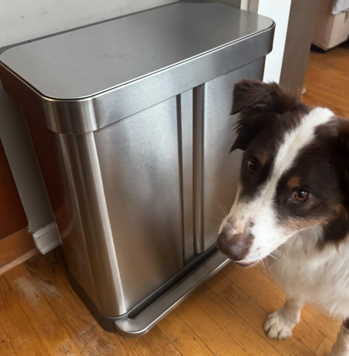simplehuman 58 Liter / 15.3 Gallon Rectangular Dual Compartment Recycling Step, Brushed Stainless Steel with Soft-Close Plastic Lid Kitchen Trash Can - Customer Photo 1