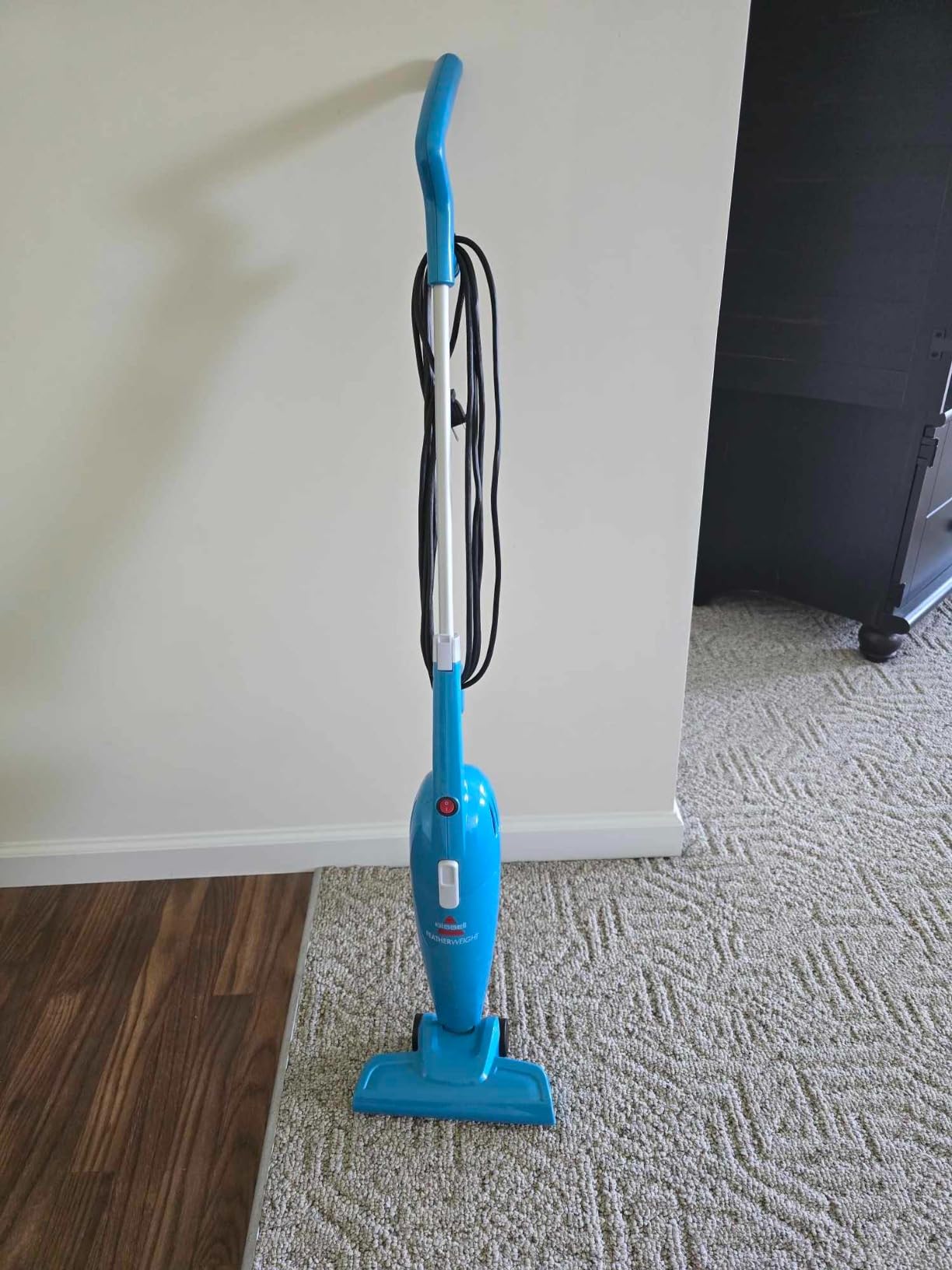 Bissell Cleanview XR Pet 300W Cordless Vacuum with Removable Battery, 3797V customer photo 2