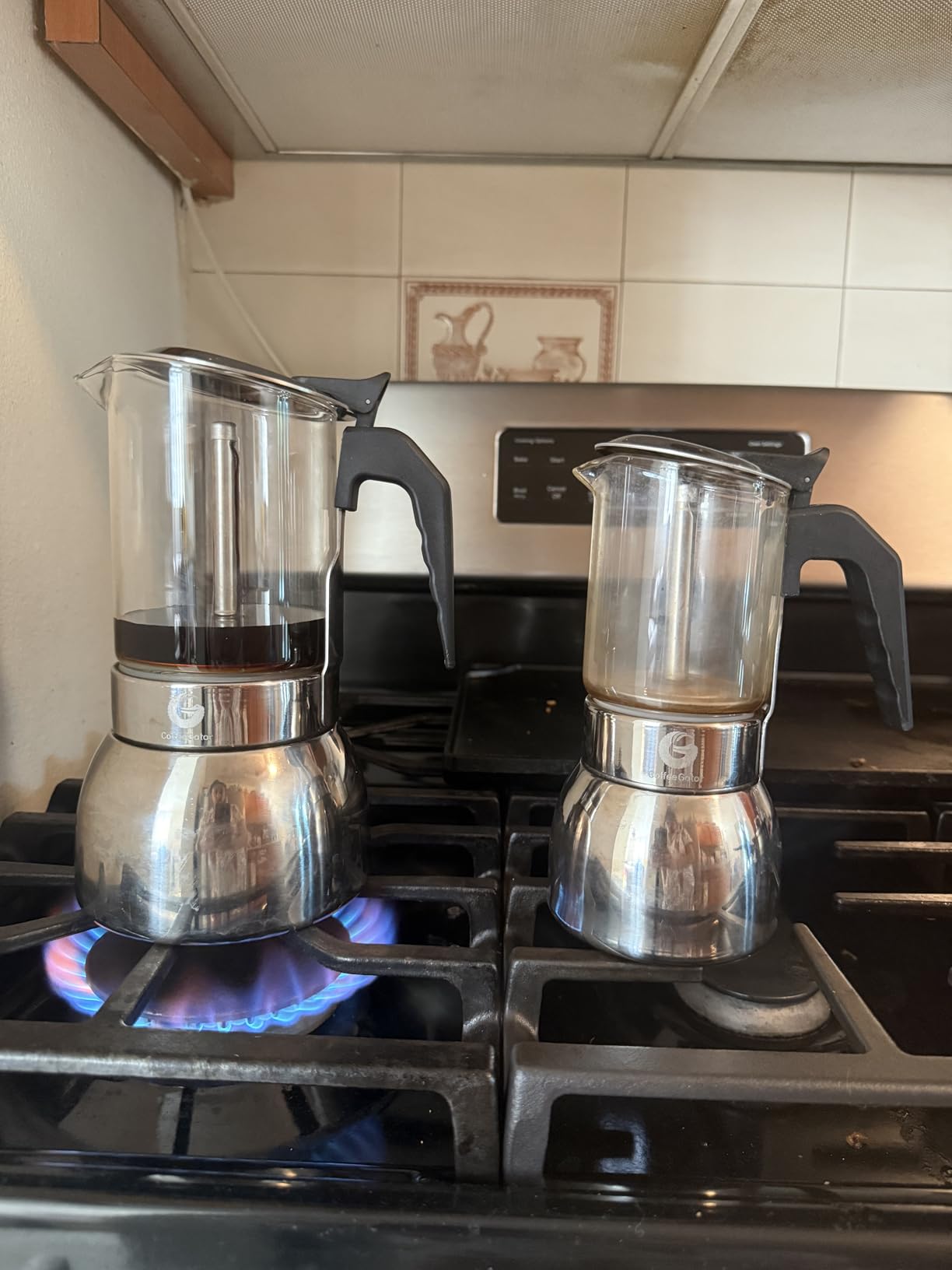 Coffee Gator 9 Cup Moka Pot, 15oz Stovetop Espresso Maker for Italian Coffee, Transparent Glass & Stainless Steel Design, Silver, 450ml - Customer Photo 2