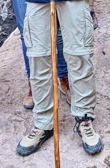 adidas Men's Terrex Anylander Mid Top Rain.Rdy Hiking Shoes customer photo 1