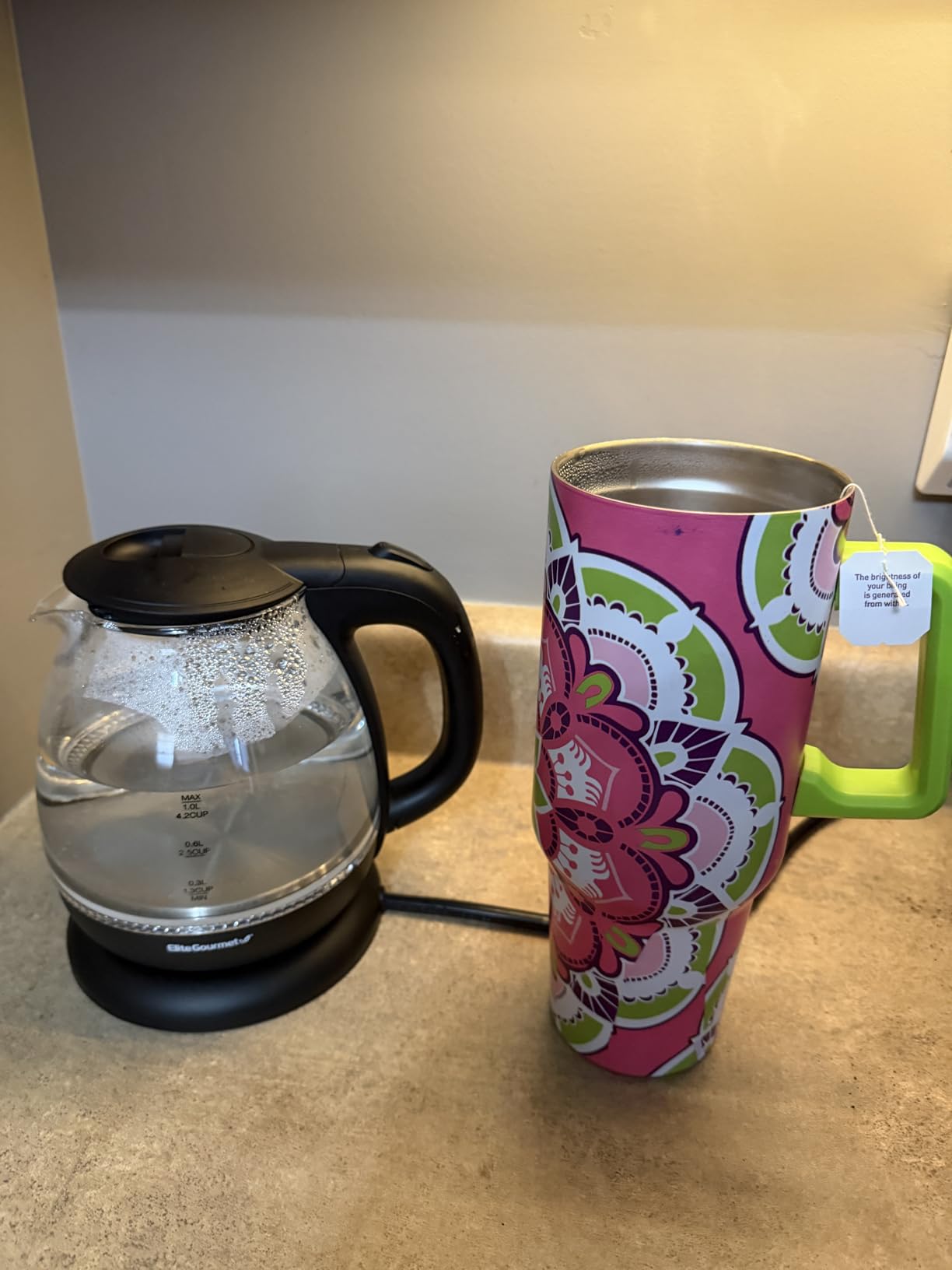 Elite Gourmet Dual Voltage 120-230V, Travel Double Wall Insulated Cool-Touch, 0.6L Electric Kettle Stainless Steel Interior, Hinged-Locking Lid, Auto Shut-Off, Boil Dry Protection, Black - Customer Photo 2