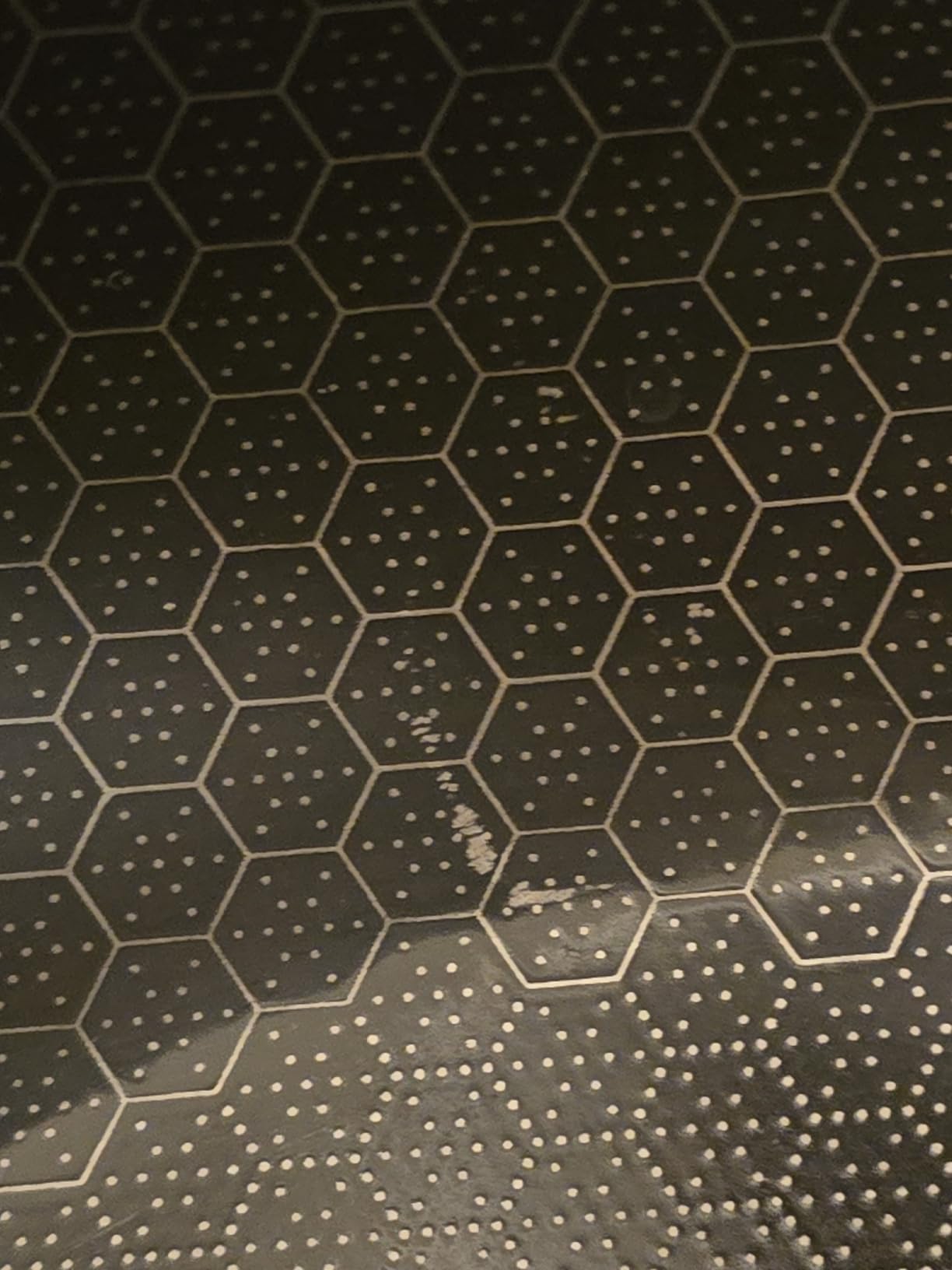 HexClad Hybrid Nonstick 6-Piece Pot Set with 2 Silicone Trivets, 2, 3, and 8-Quart Pots with Tempered Glass Lids, Stay-Cool Handles, Dishwasher-Friendly, Induction Ready, Compatible with All Cooktops Customer Review HexClad Hybrid Nonstick 6-Piece Pot Set with 2 Silicone Trivets, 2, 3, and 8-Quart Pots with Tempered Glass Lids, Stay-Cool Handles, Dishwasher-Friendly, Induction Ready, Compatible with All Cooktops - Customer Photo 1