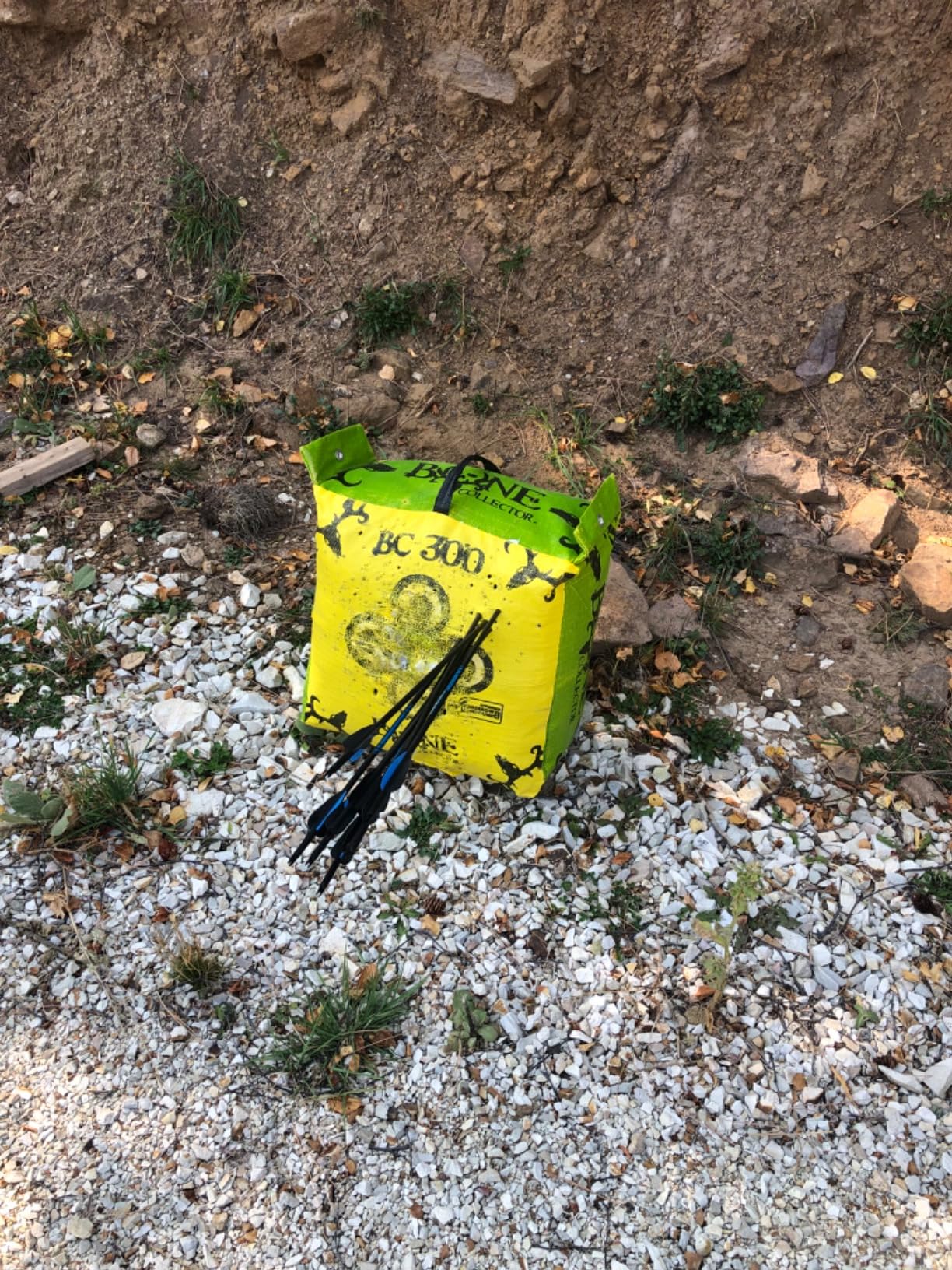 Sanlida Dragon X7 Ready to Hunt Compound Bow Package for Adults, Archery Compound Bow and Arrow Set, 0-70 Lbs Draw Weight, No Bow Press Needed, RH Only, Limited Life-time Warranty customer photo 2