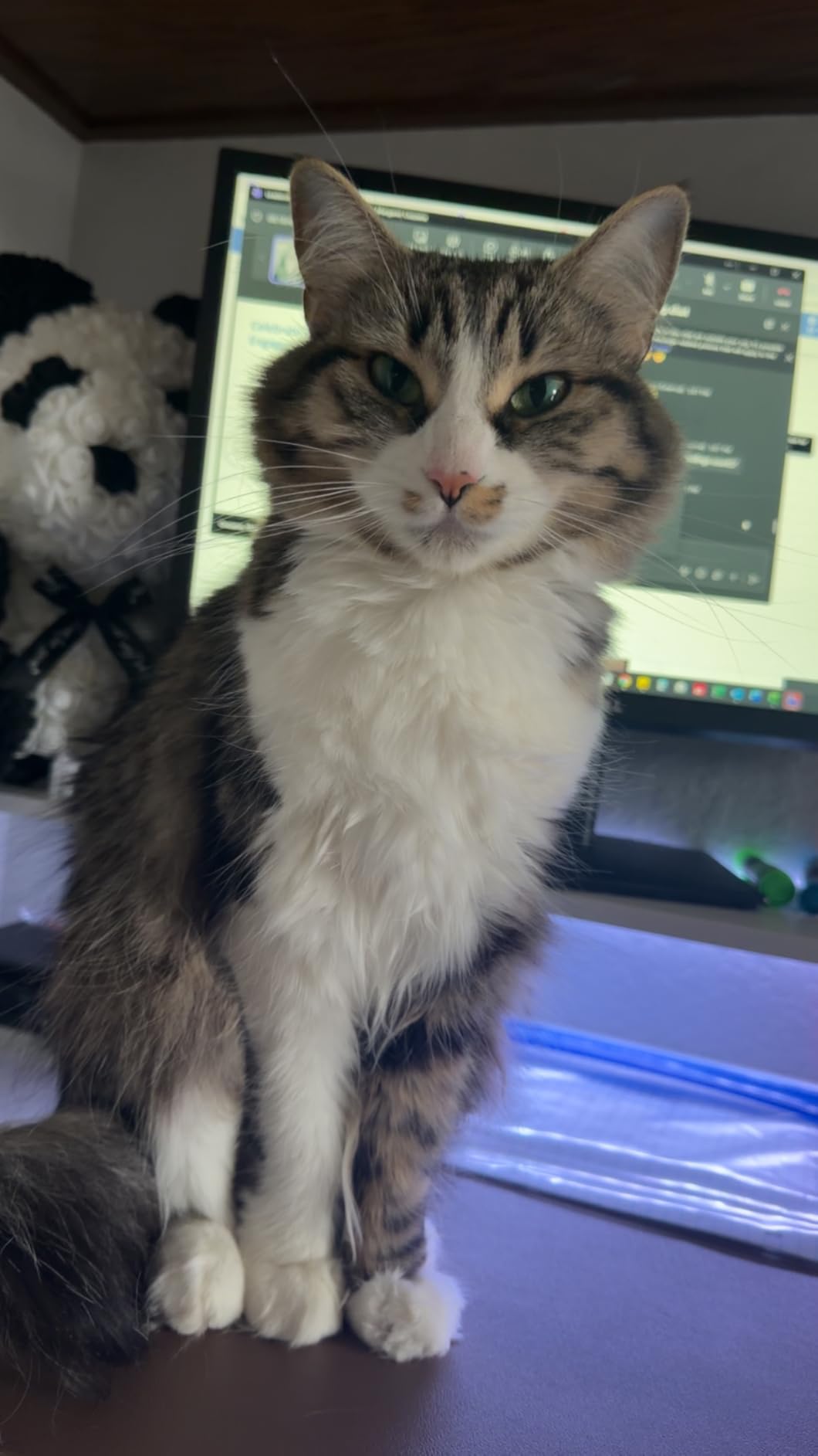 OffiGo U Shaped Electric Standing Desk with Keyboard Tray, 55 Inch Height Adjustable Desk with Power Outlets & LED Lights, Sit Stand Table with Monitor Stand for Home, Office, White customer photo 1