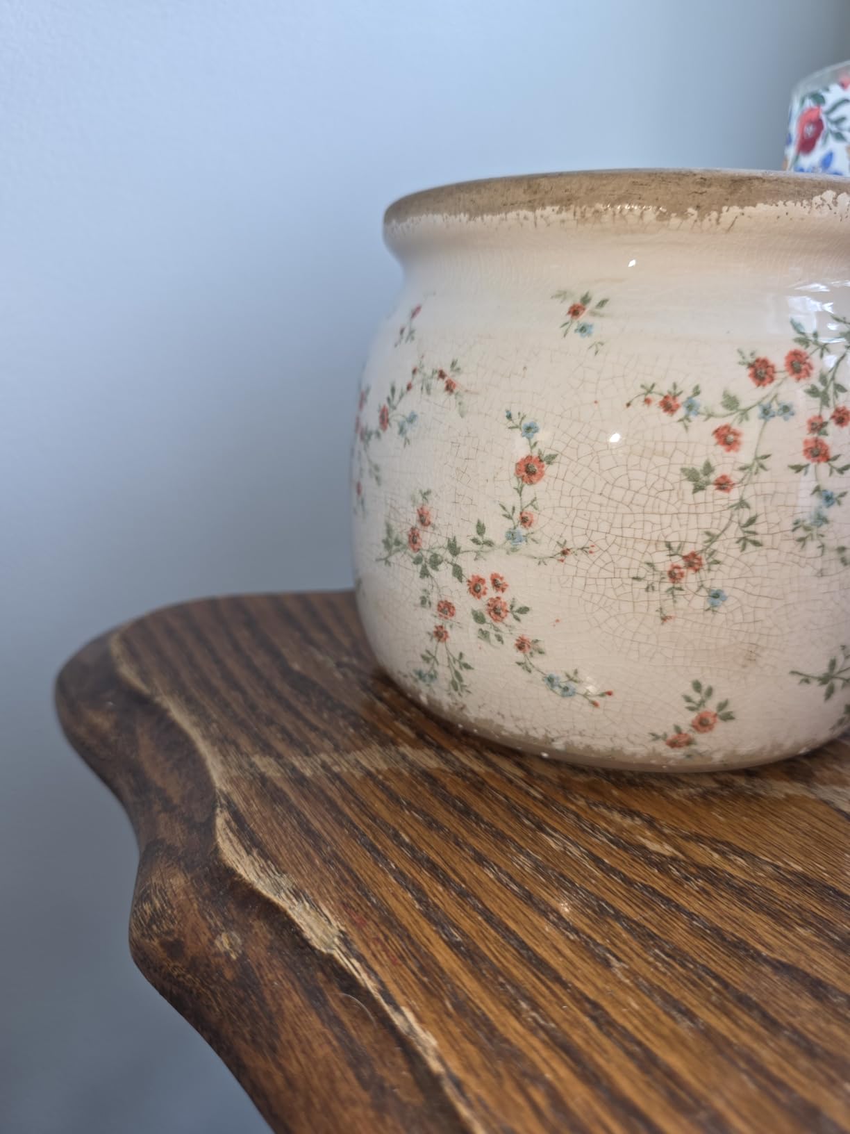 Flower Pots, Vintage Ceramic Planters for Indoor Plants, 6.29'' Plant Pots with Drainage, French Country Lavender Vase & Planters, Antique Home Room Decor, Gardening & Housewarming Gifts - Customer Photo 5