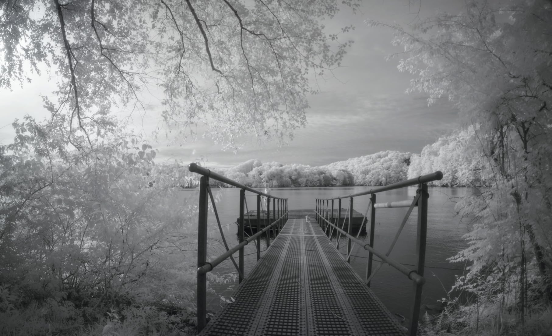 Sony ILCE6100KB Alpha 6100 Mirrorless 4K Video Camera with E PZ 16-50mm Lens - Black customer photo 2