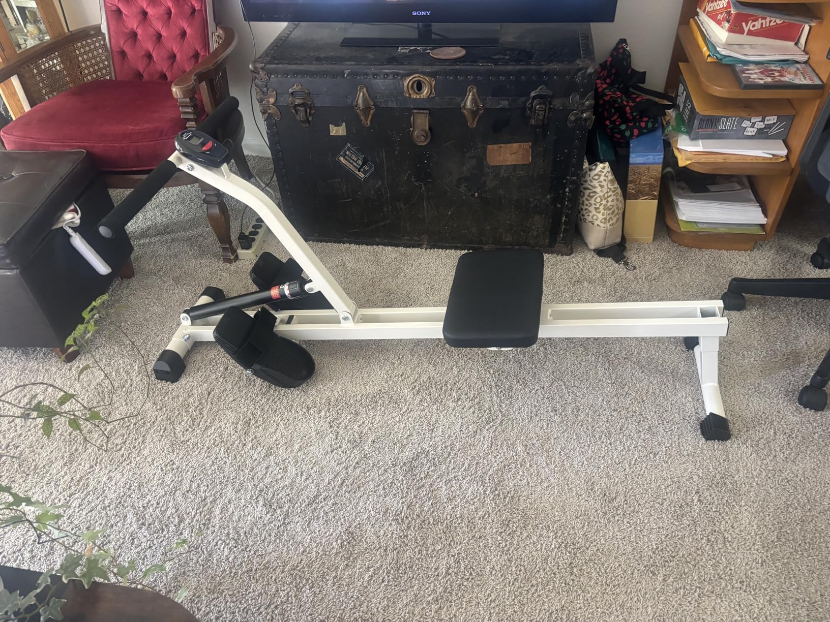 FEIERDUN Hydraulic Rowing Machine for Home, Compact Adjustable Rower with 12 Resistance Levels customer photo 1