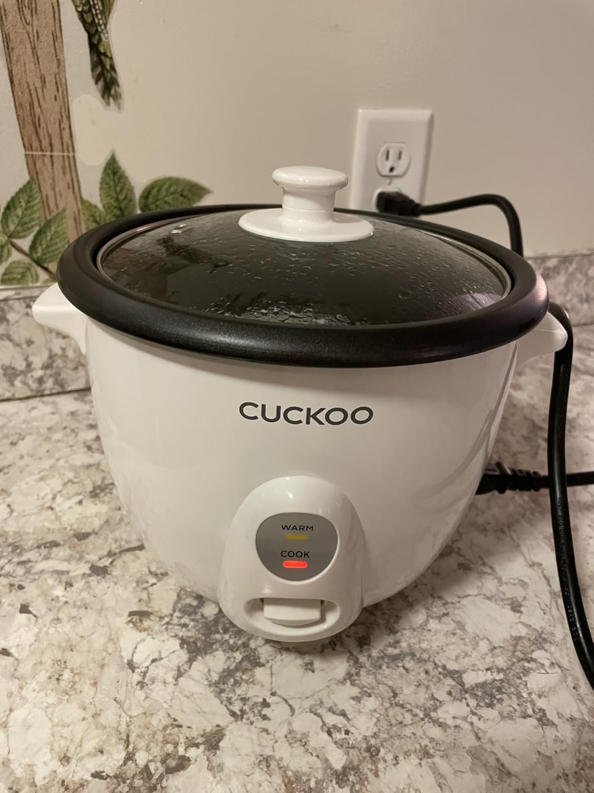 CUCKOO One Touch Rice Cooker 3-Cup (Uncooked) / 6-Cup (Cooked), Mini Rice Cooker & Warmer with Steamer Tray, Versatile Grain Cooker, Soup Maker, Auto Keep Warm, White (CR-0301C) - Customer Photo 2